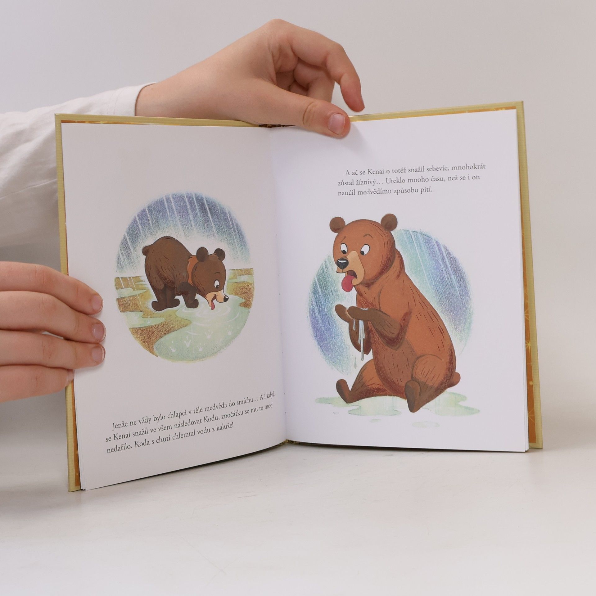 Various authors Zlatá sbírka pohádek 23. Medvědí bratři