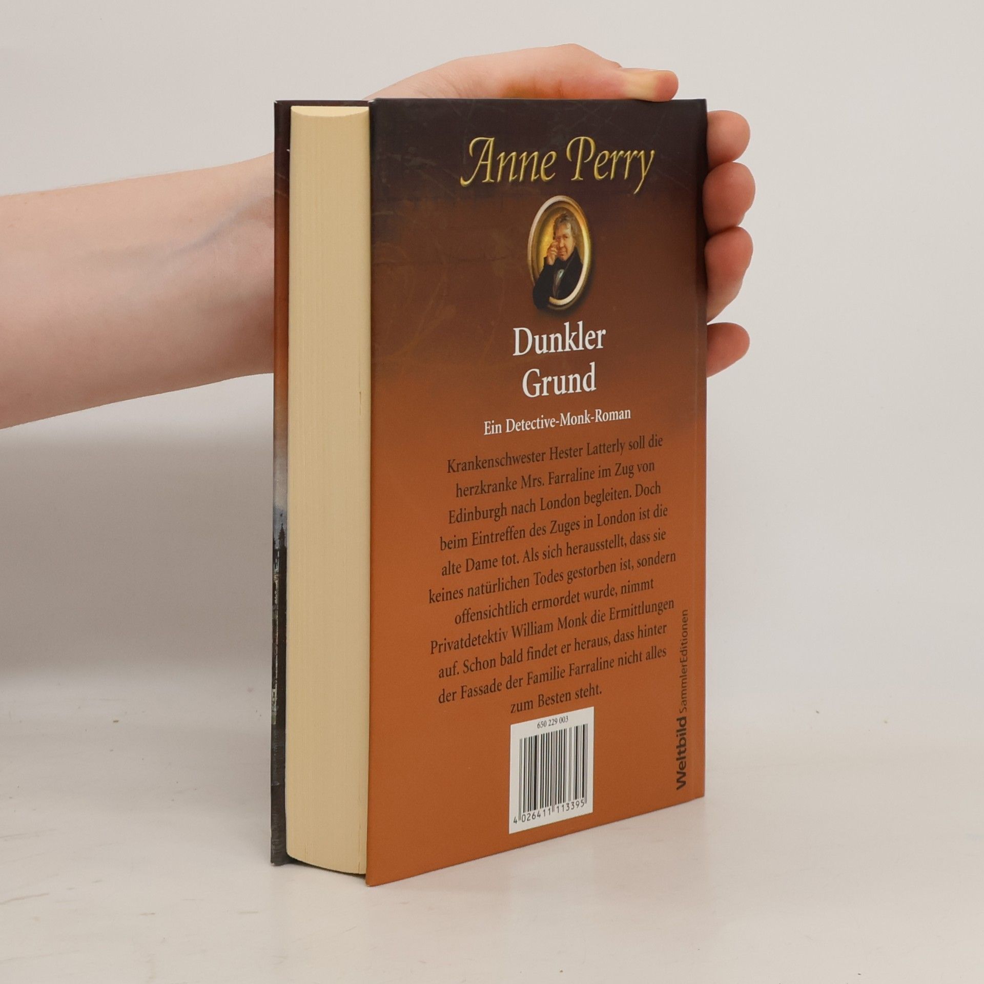 Anne Perry Dunkler Grund
