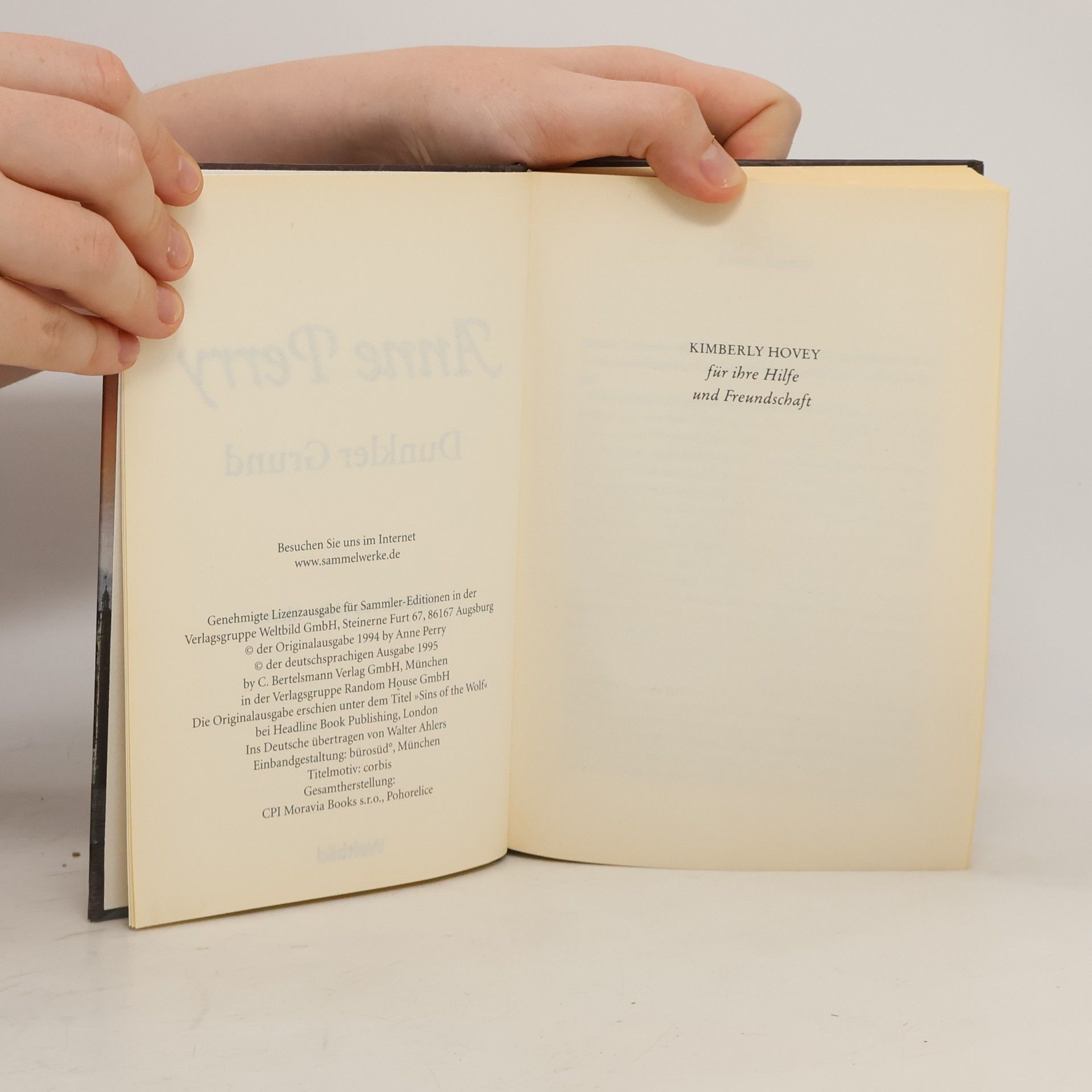 Anne Perry Dunkler Grund