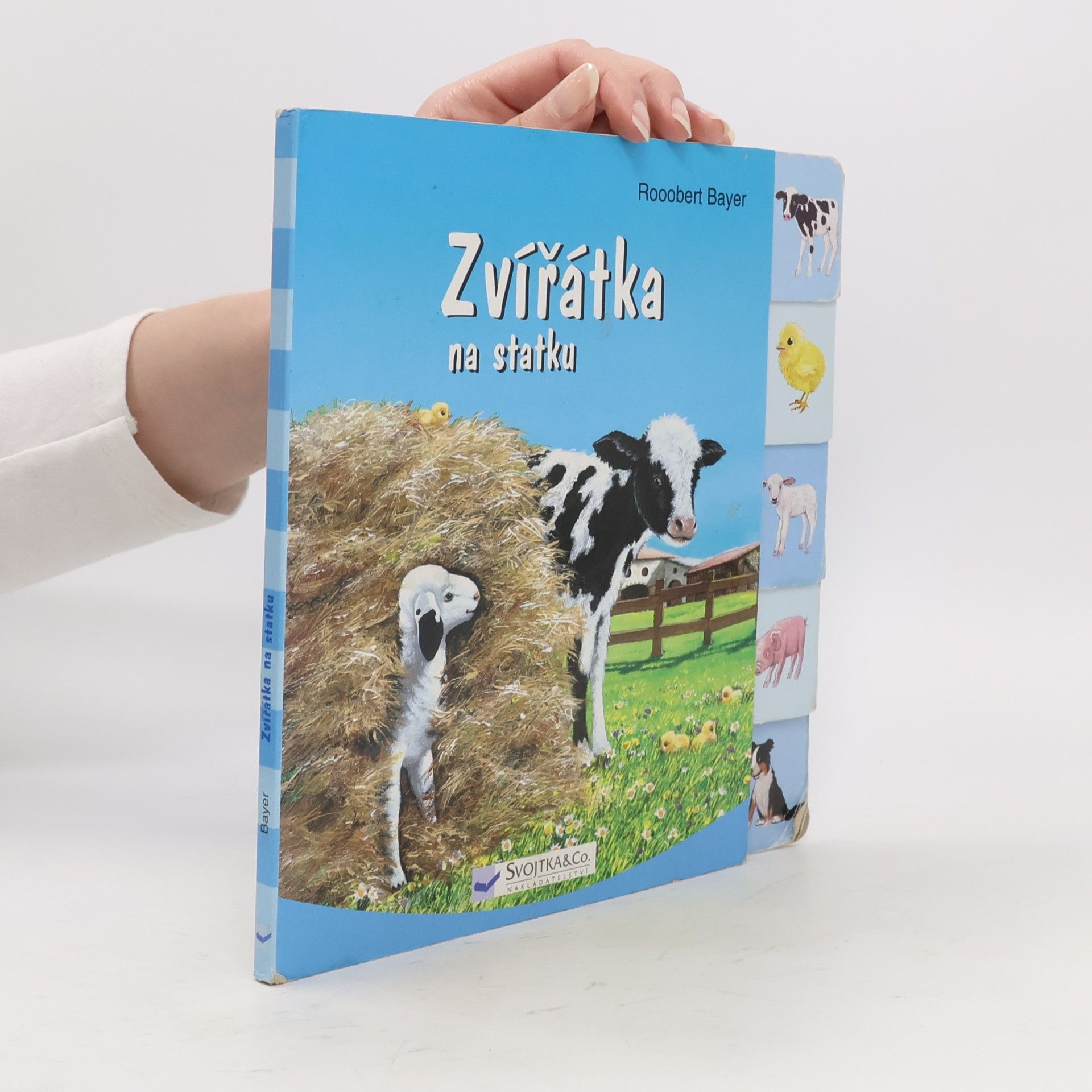 Robert Bayer Zvířátka na statku