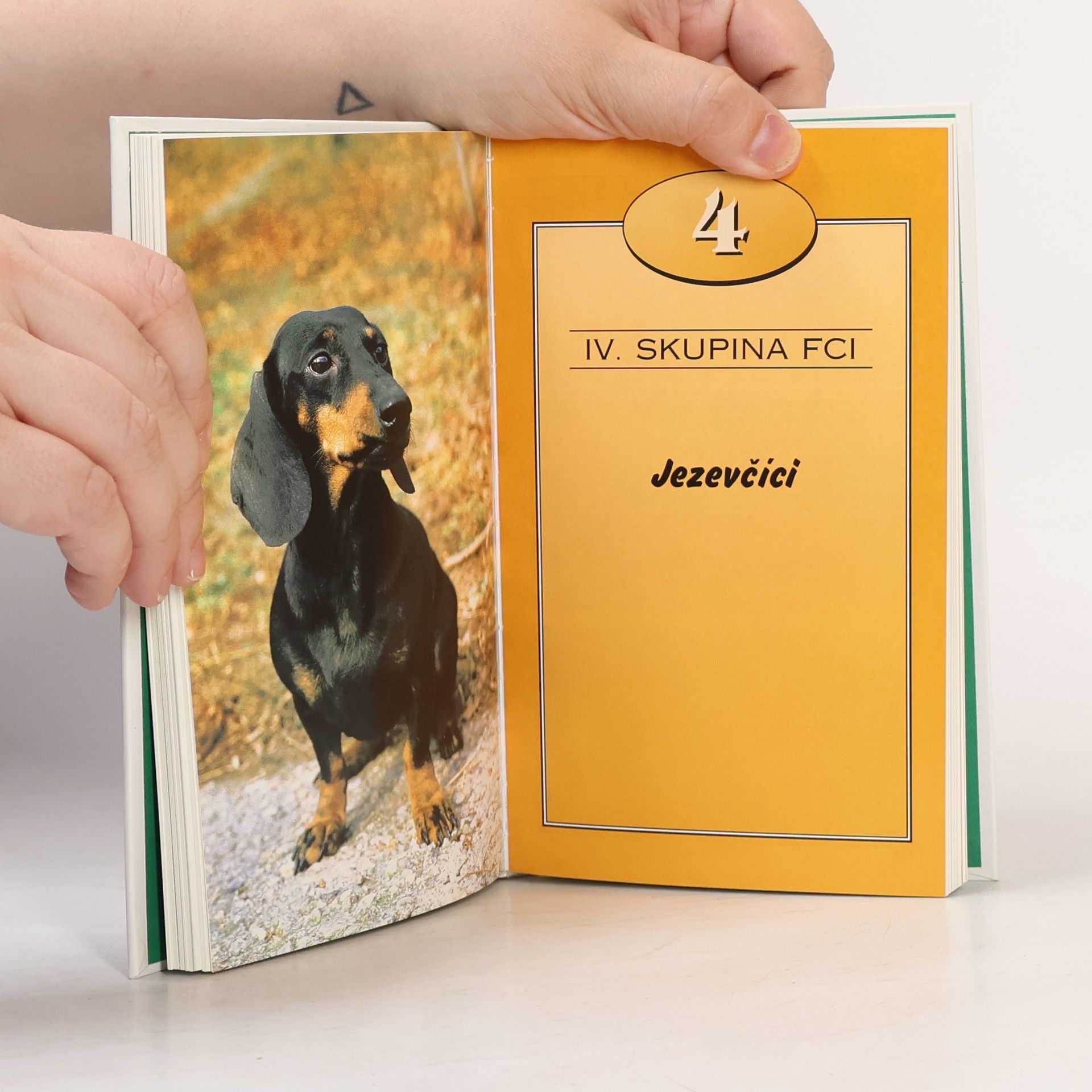 Lea Smrčková Kapesní atlas psů