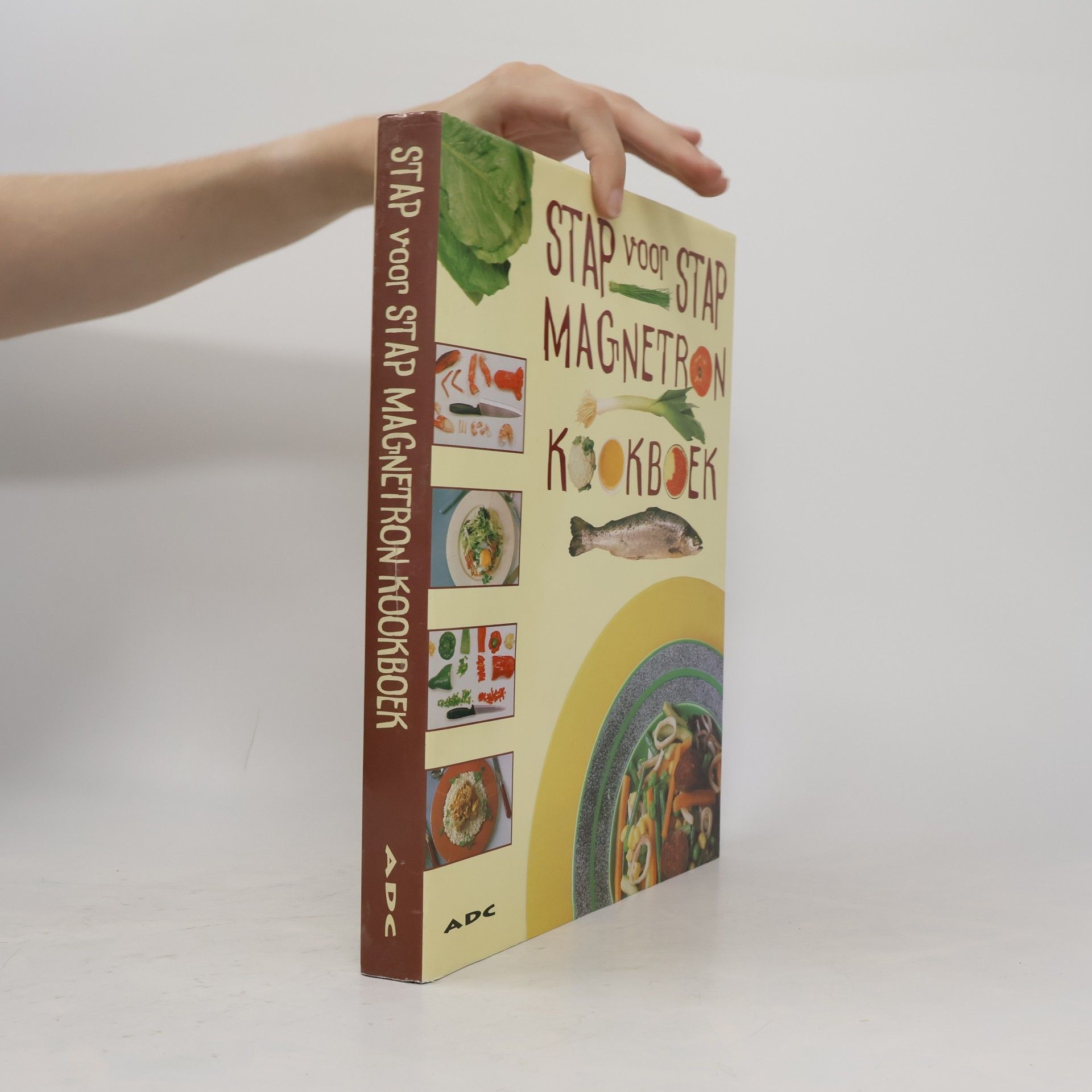 Frederic Lebain Gastronomisch kookboek voor de magnetron
