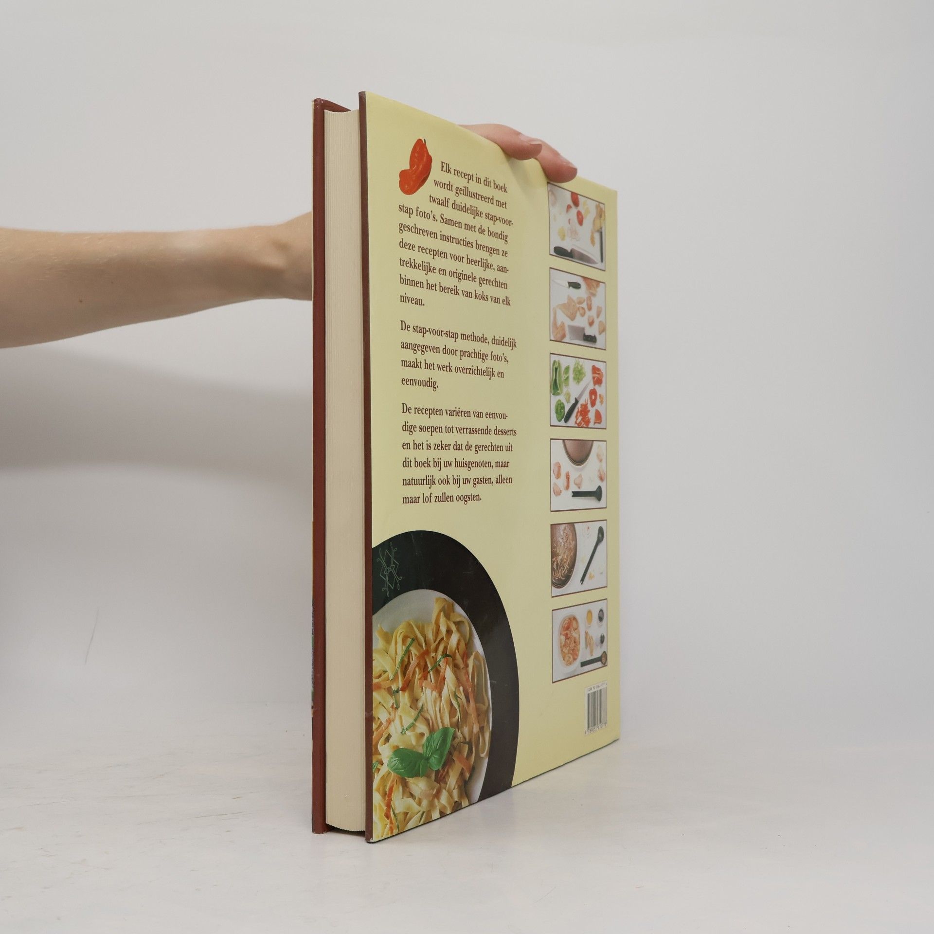 Frederic Lebain Gastronomisch kookboek voor de magnetron
