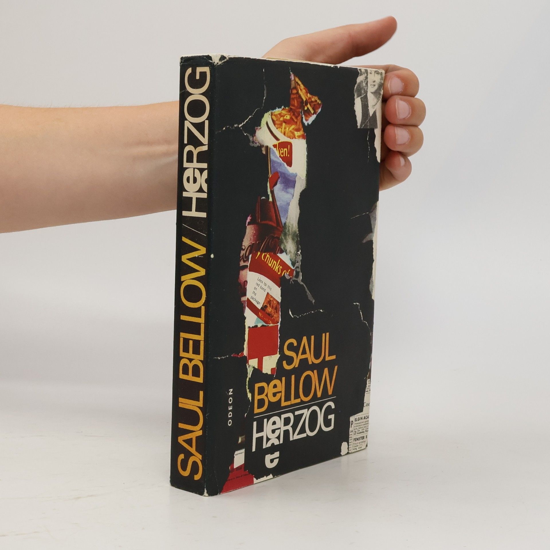 Saul Bellow Herzog