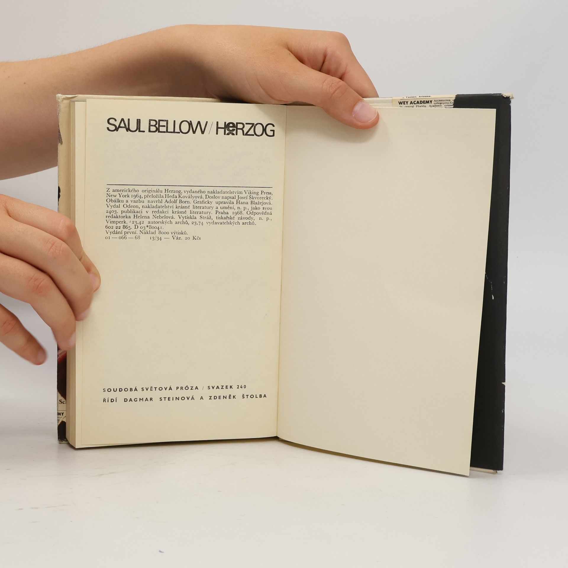 Saul Bellow Herzog