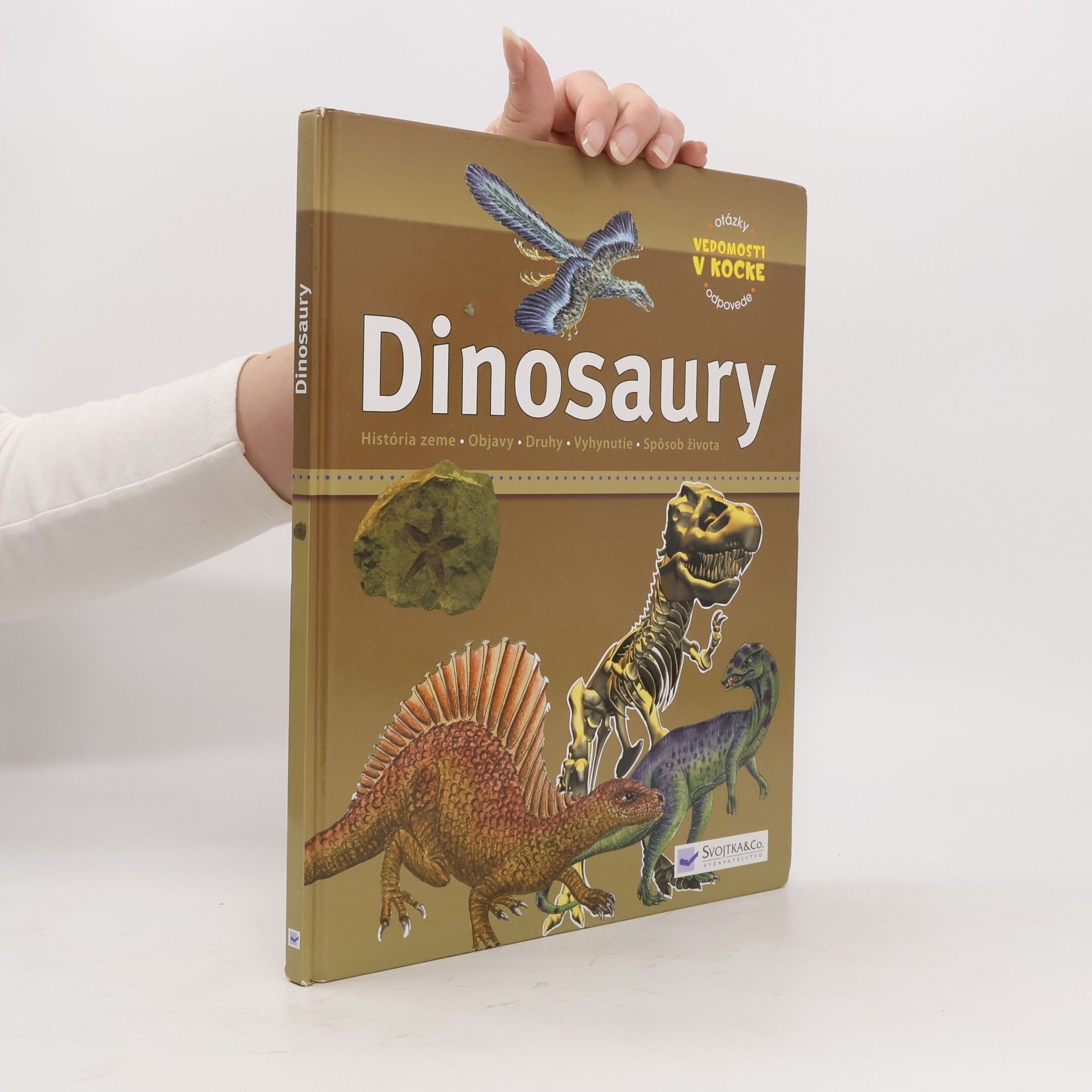 Dinosaury