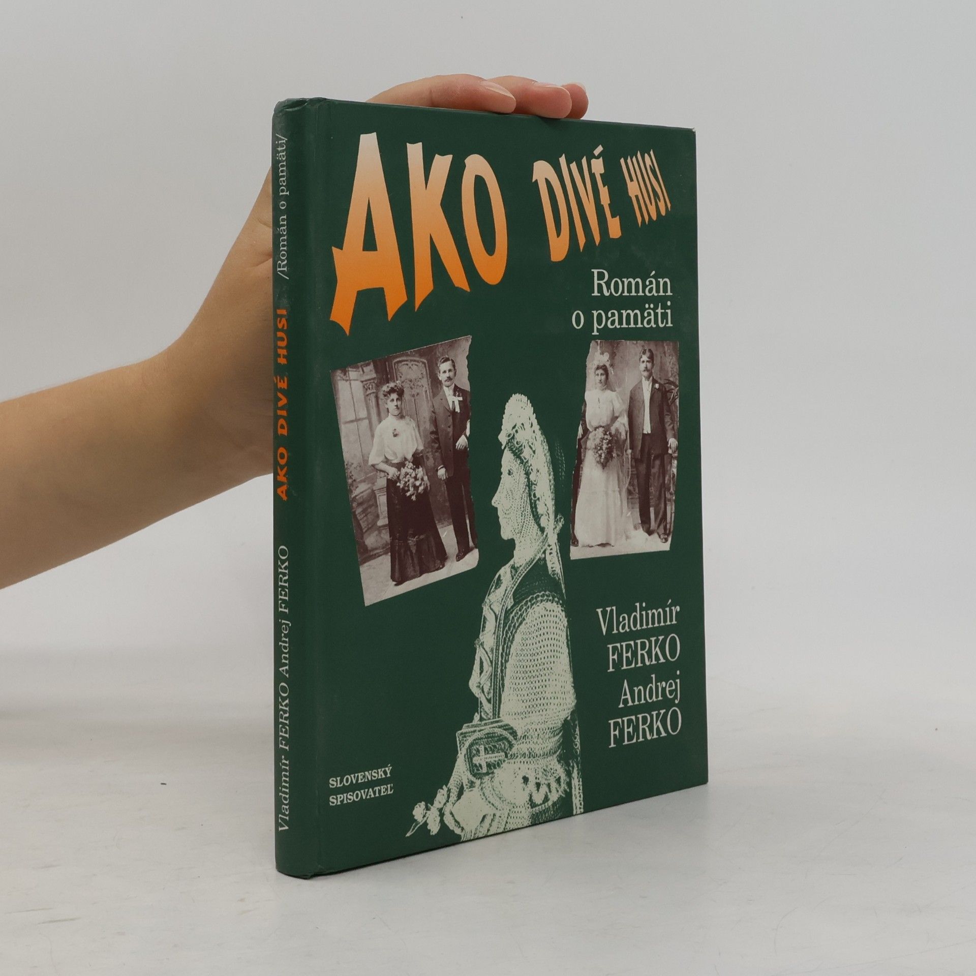 Andrej Ferko Ako divé husi