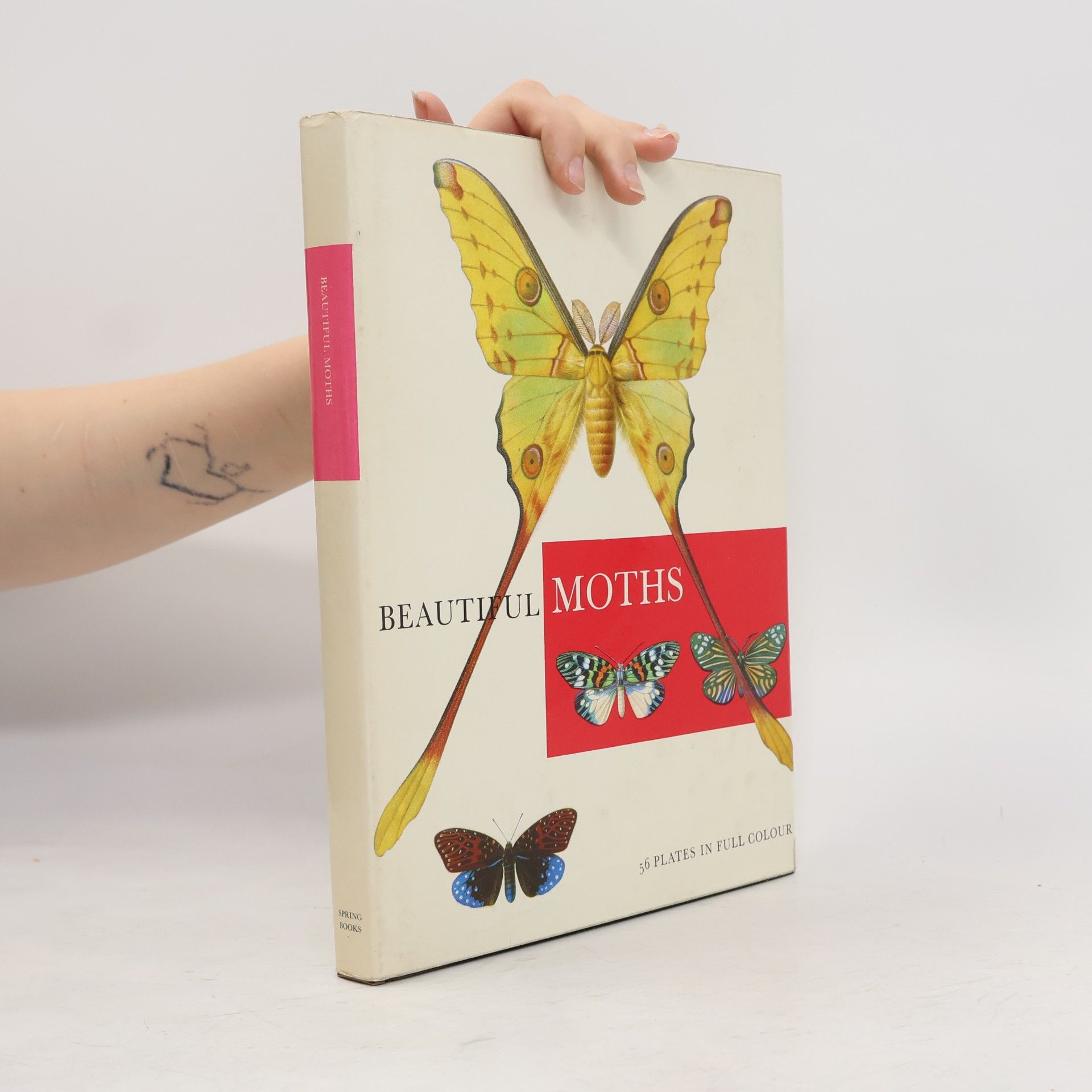 Beautiful Moths