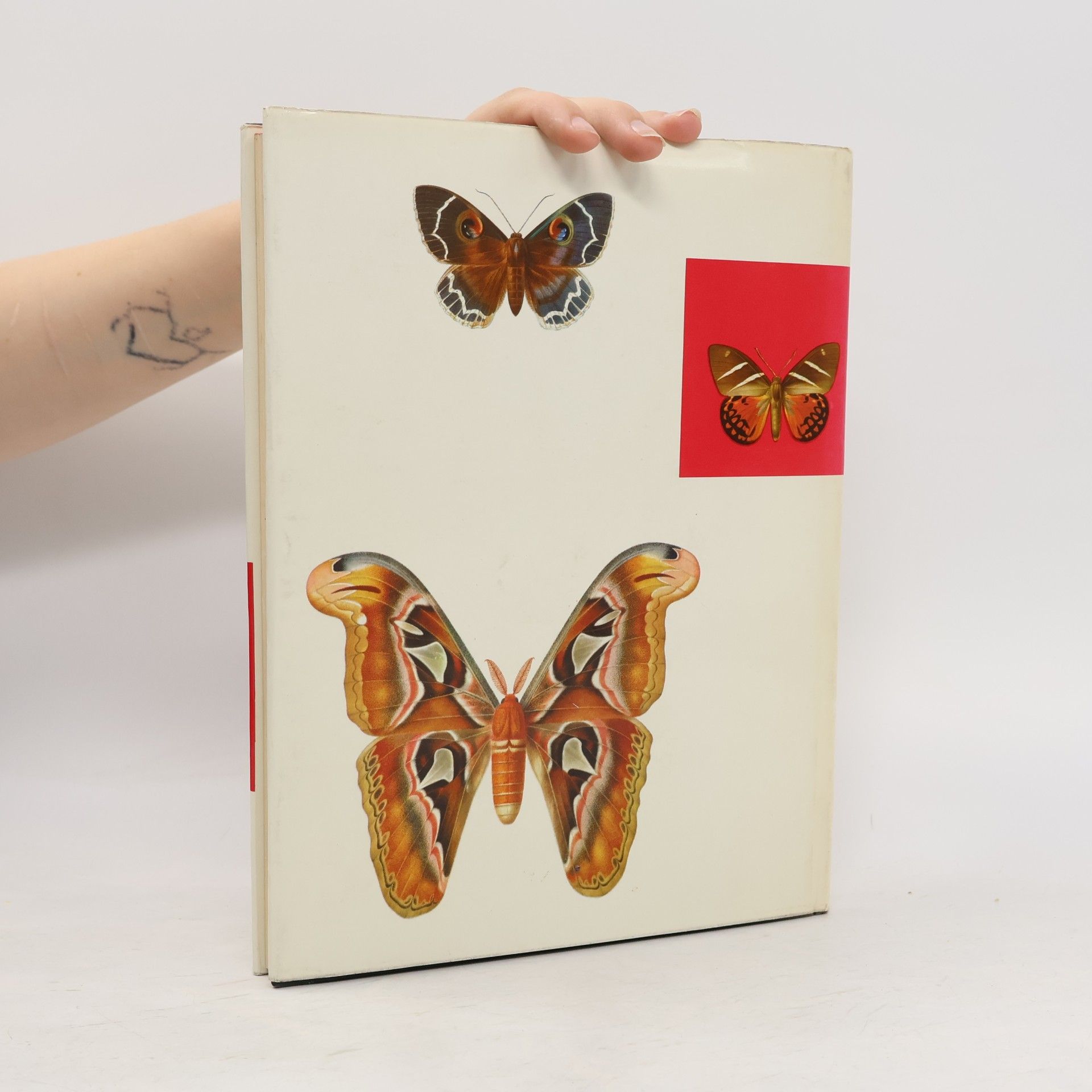 Josef Moucha Beautiful Moths