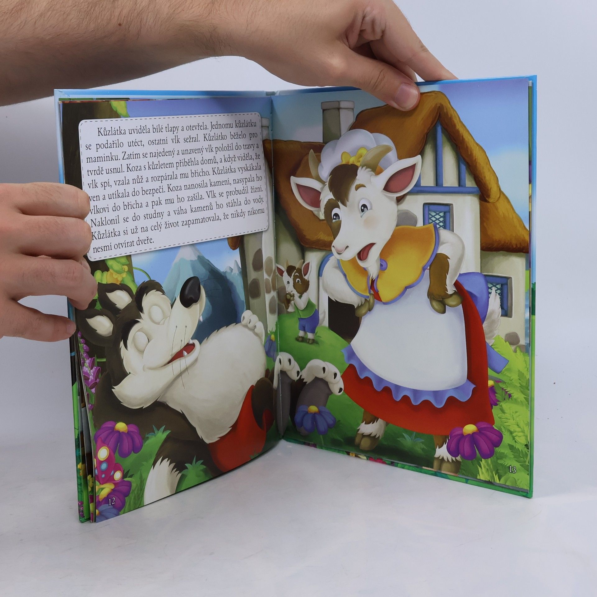 Autorenkollektiv Pohádky s ponaučením