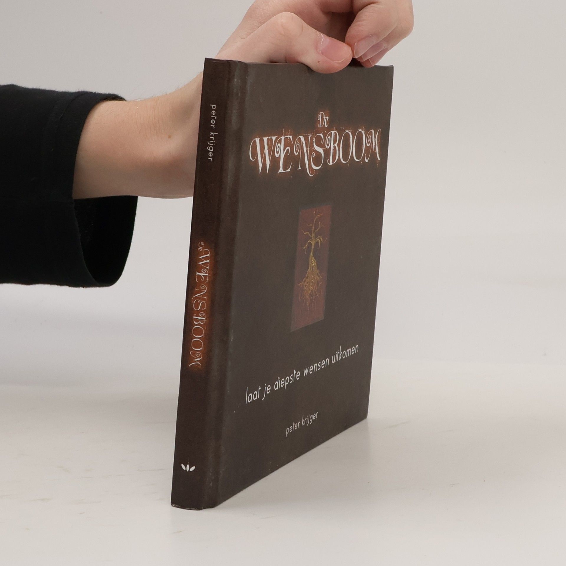 Ineke van Lier De wensboom