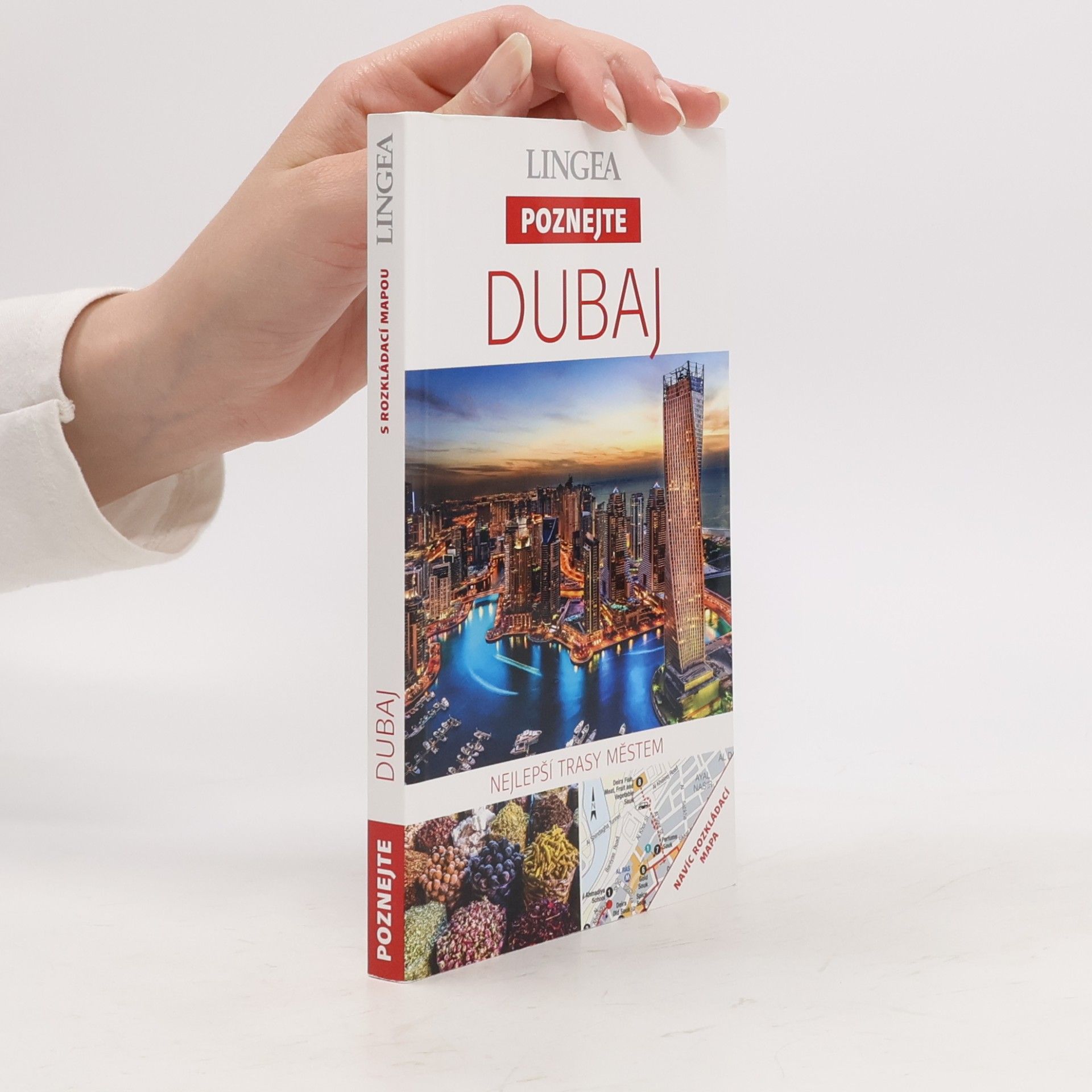 Autorenkollektiv Dubaj