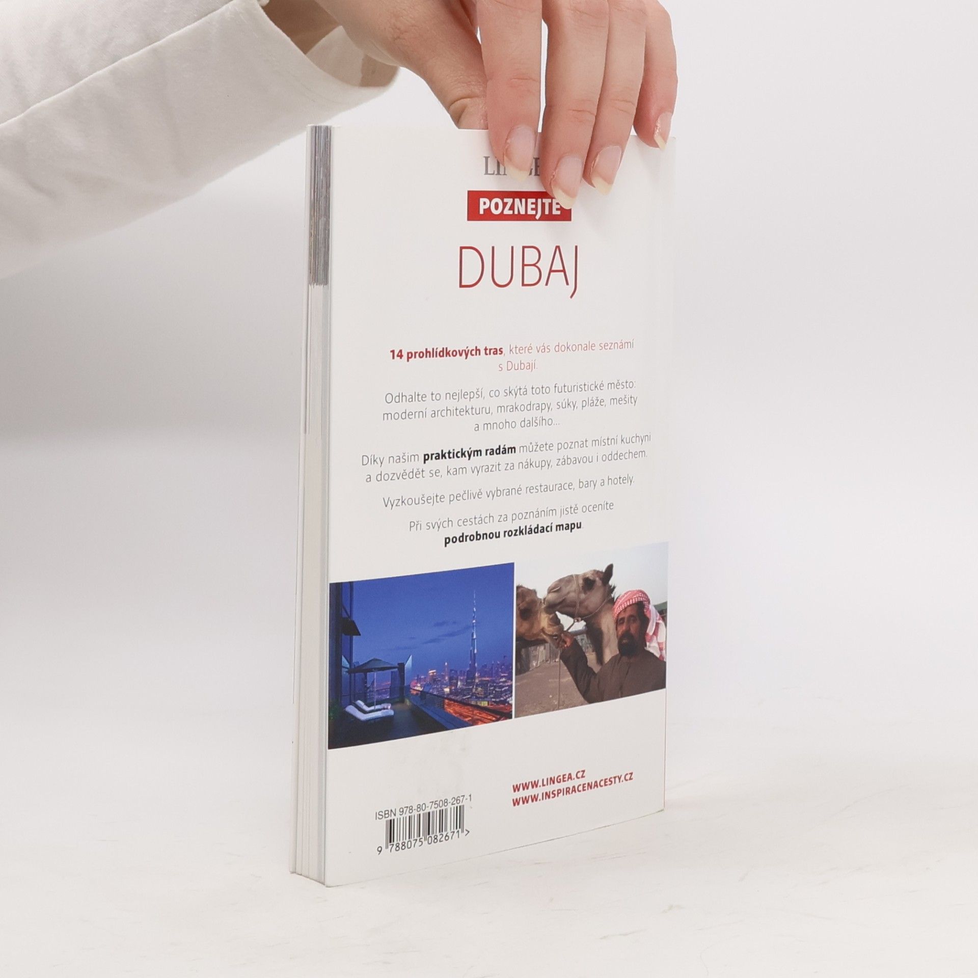 Kolektiv autorů Dubaj