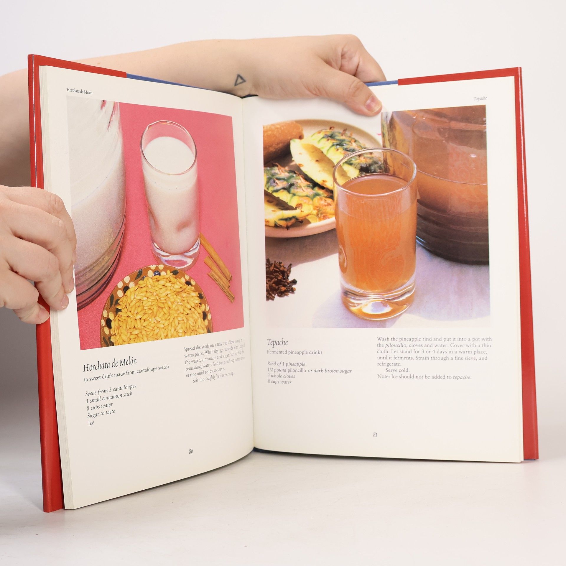 Dolores Rojas A Treasury of Mexican Cuisine