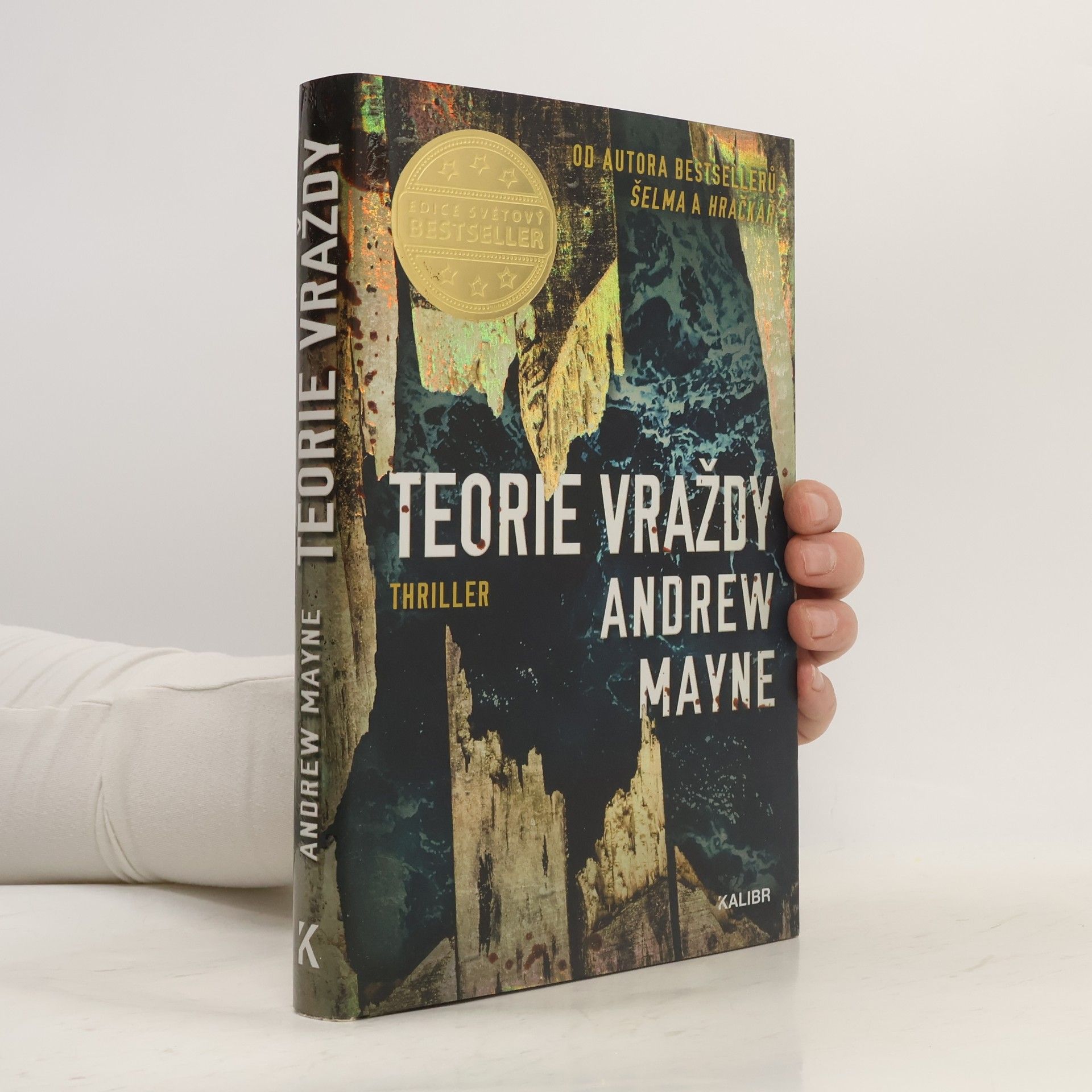 Andrew Mayne Teorie vraždy
