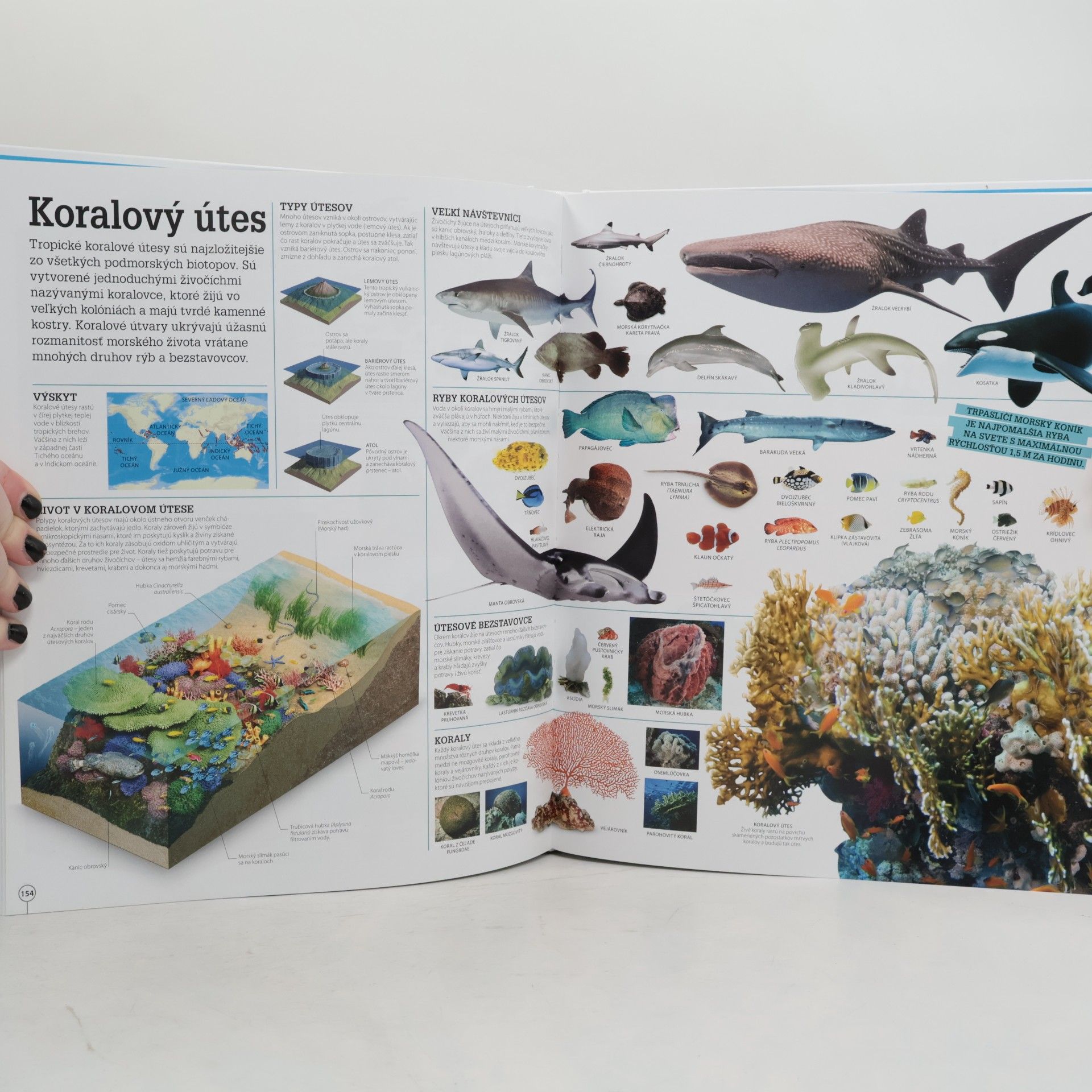 Kolektiv autorů Mega encyklopédia. Úplne všetkého na svete