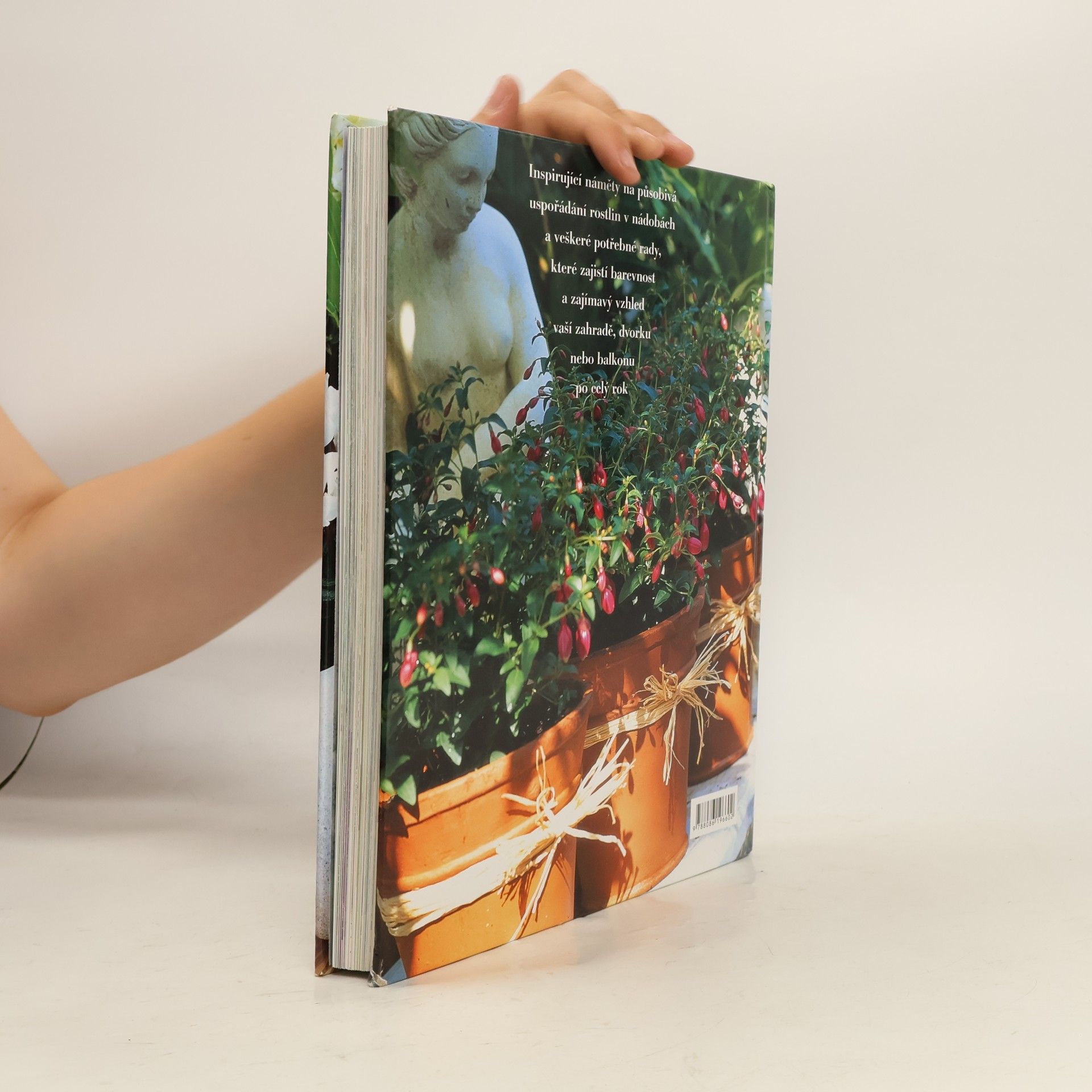 Collectif d'auteurs Zahrada v kořenáčích po celý rok