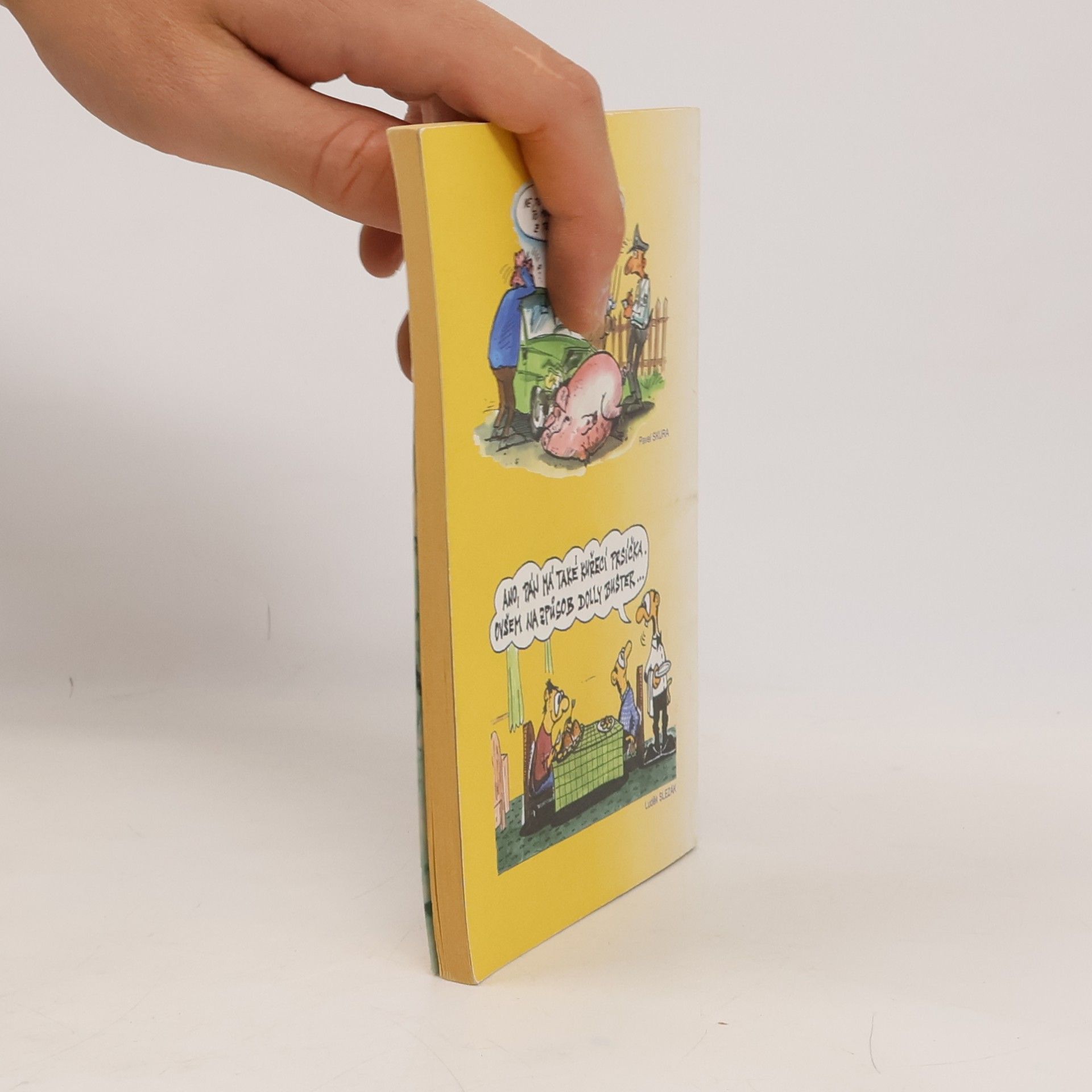 Autorenkollektiv Srandokaps 40. Hospoda, mé trvalé bydliště
