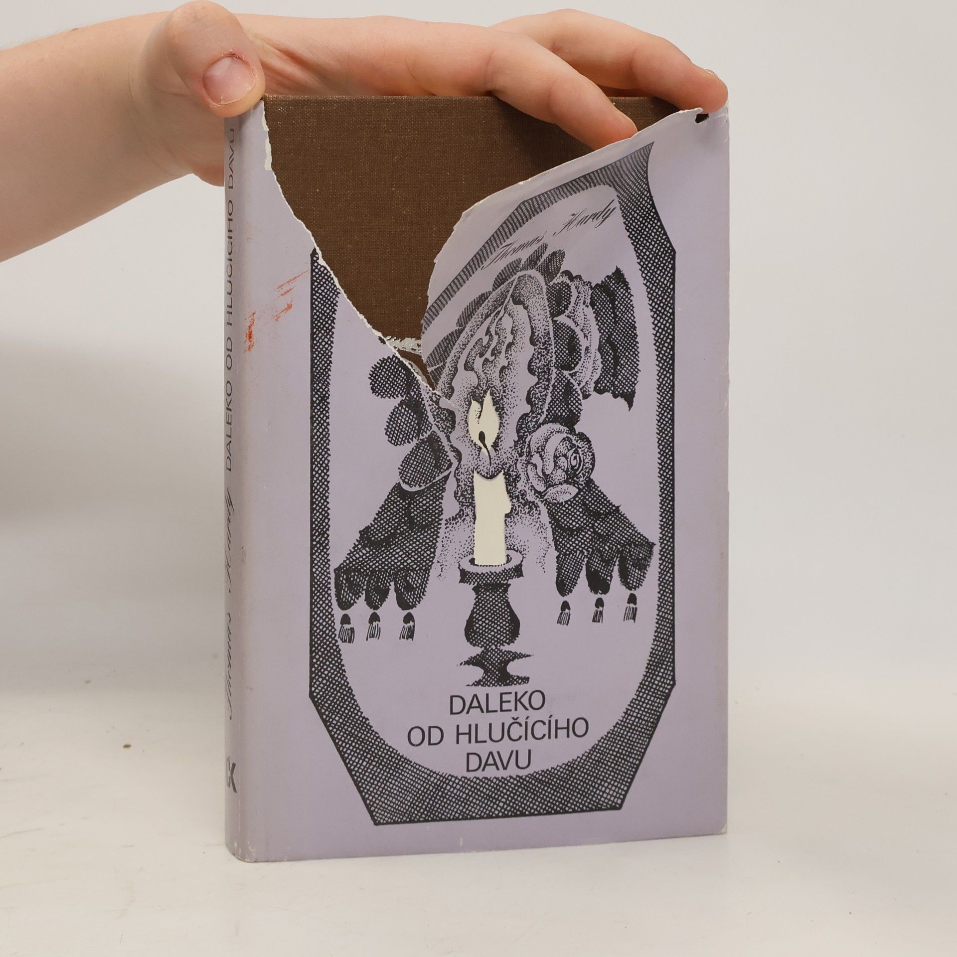 Thomas Hardy Daleko od hlučícího davu