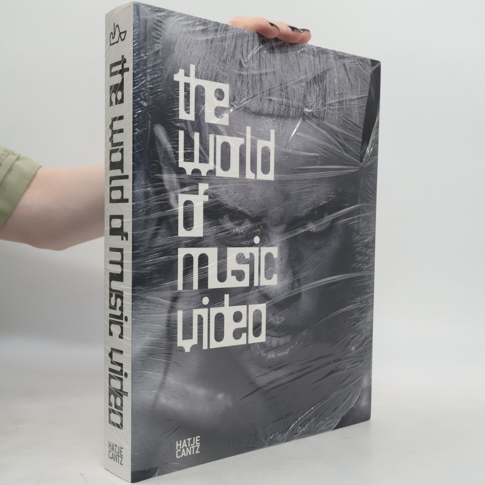 Rinko Heidrich The World of Music Video