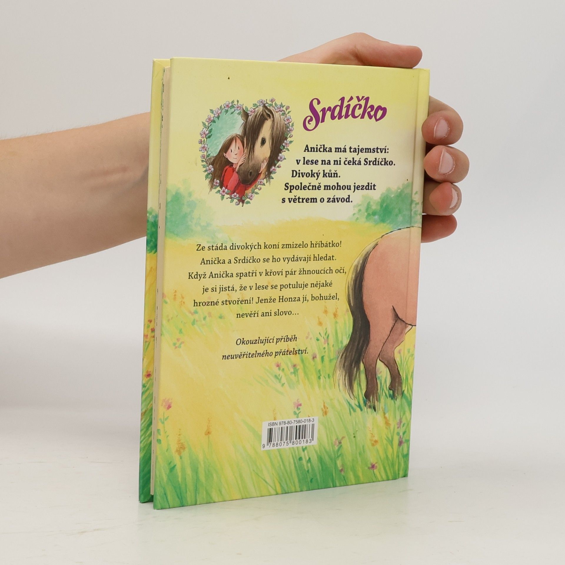 Usch Luhn Srdíčko - Anička zachraňuje hříbátko