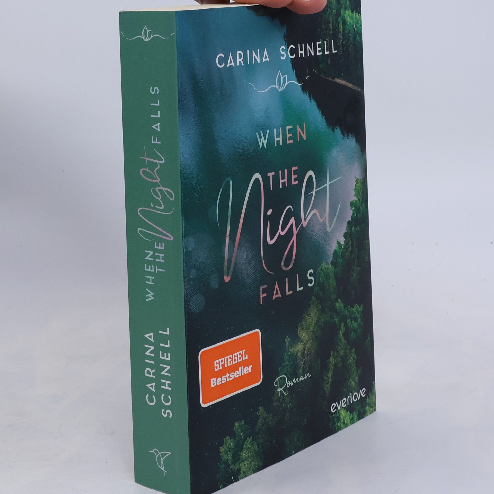 Karina Schnell When the Night Falls