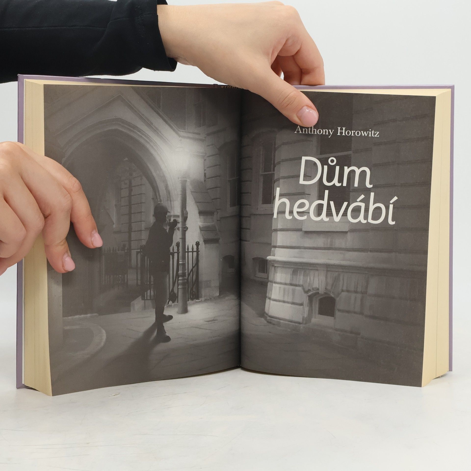 Robert Harris Index strachu, Láska na zavolanou, Dům hedvábí, O život
