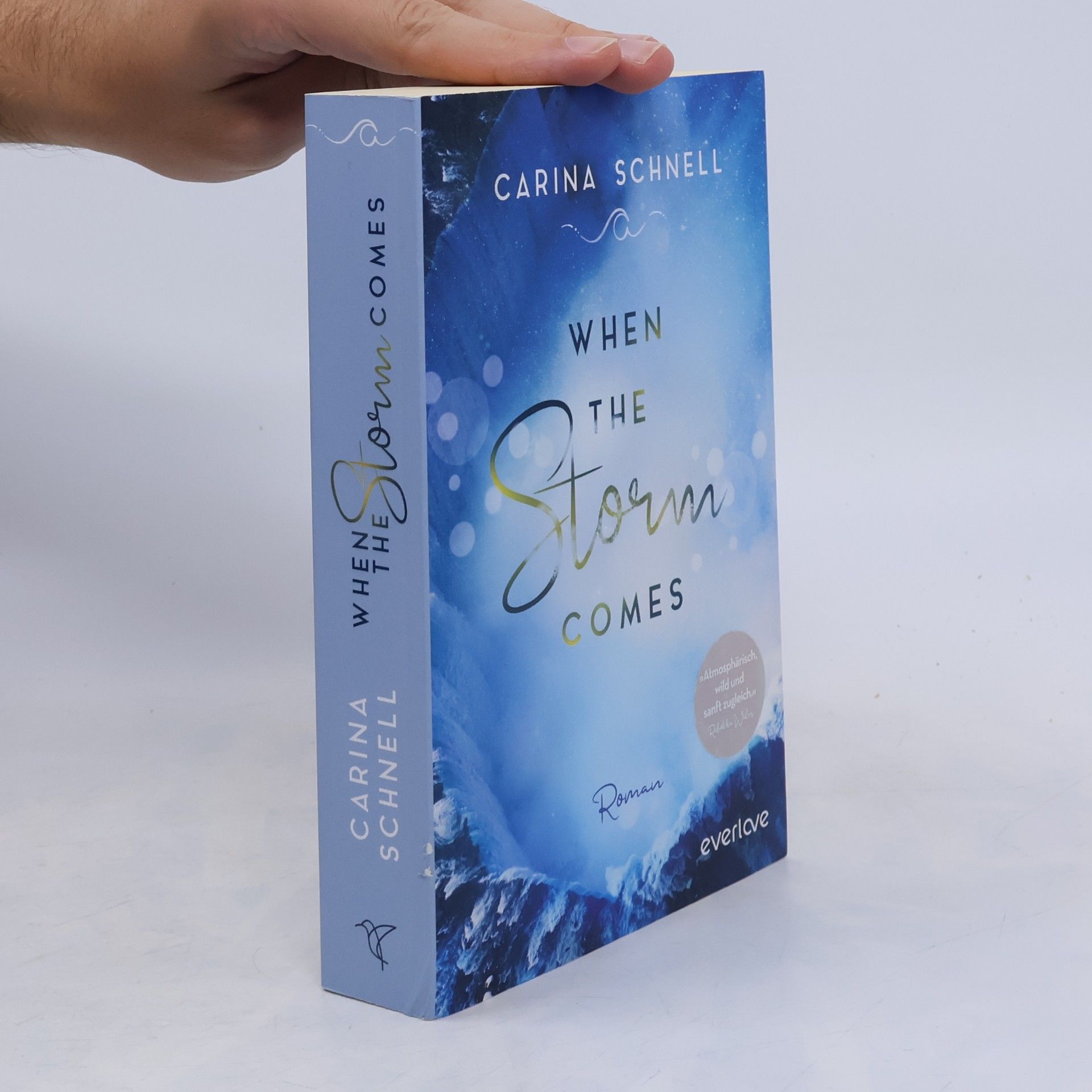 Karina Schnell When the storm comes