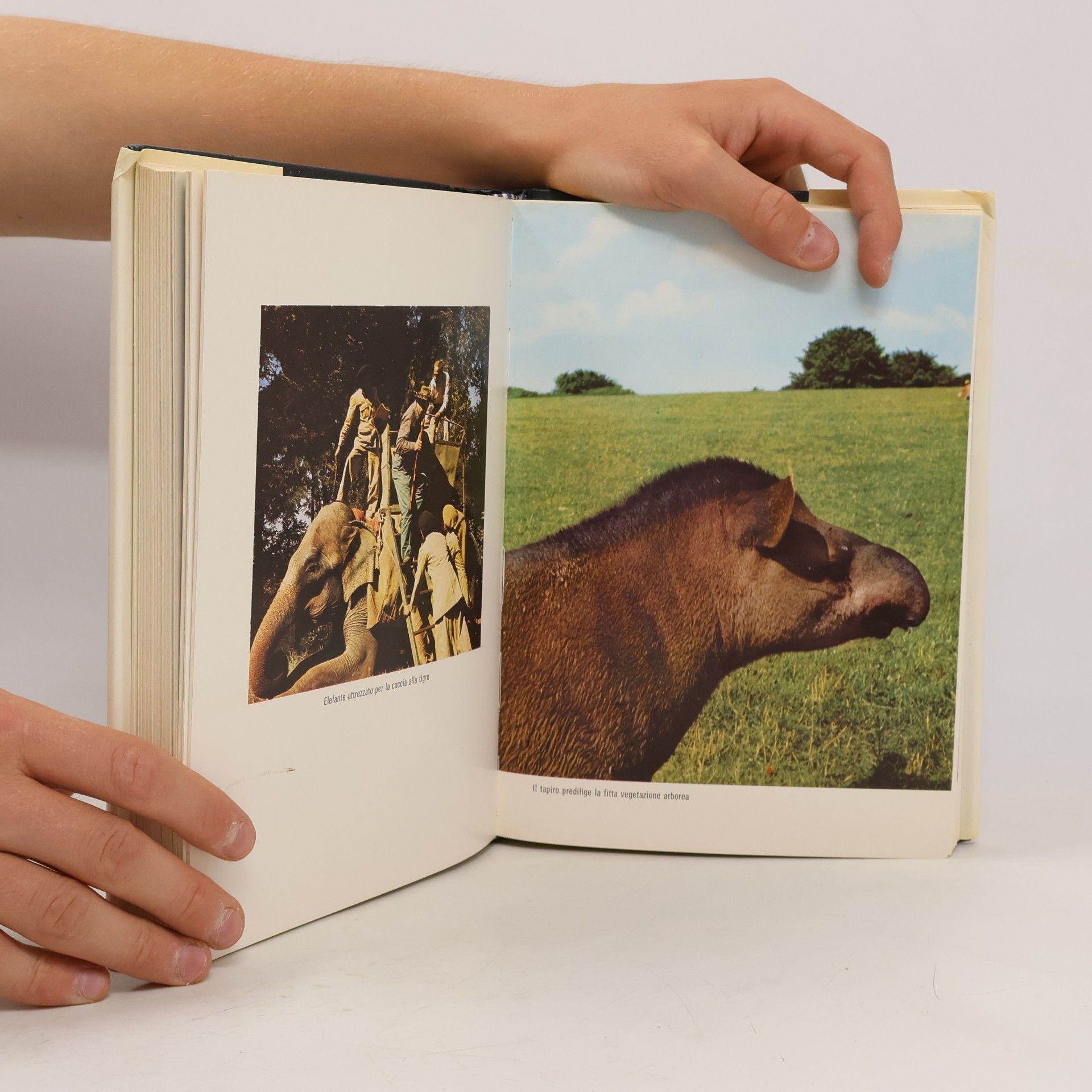 Autores varios Grande enciclopedia universale IV