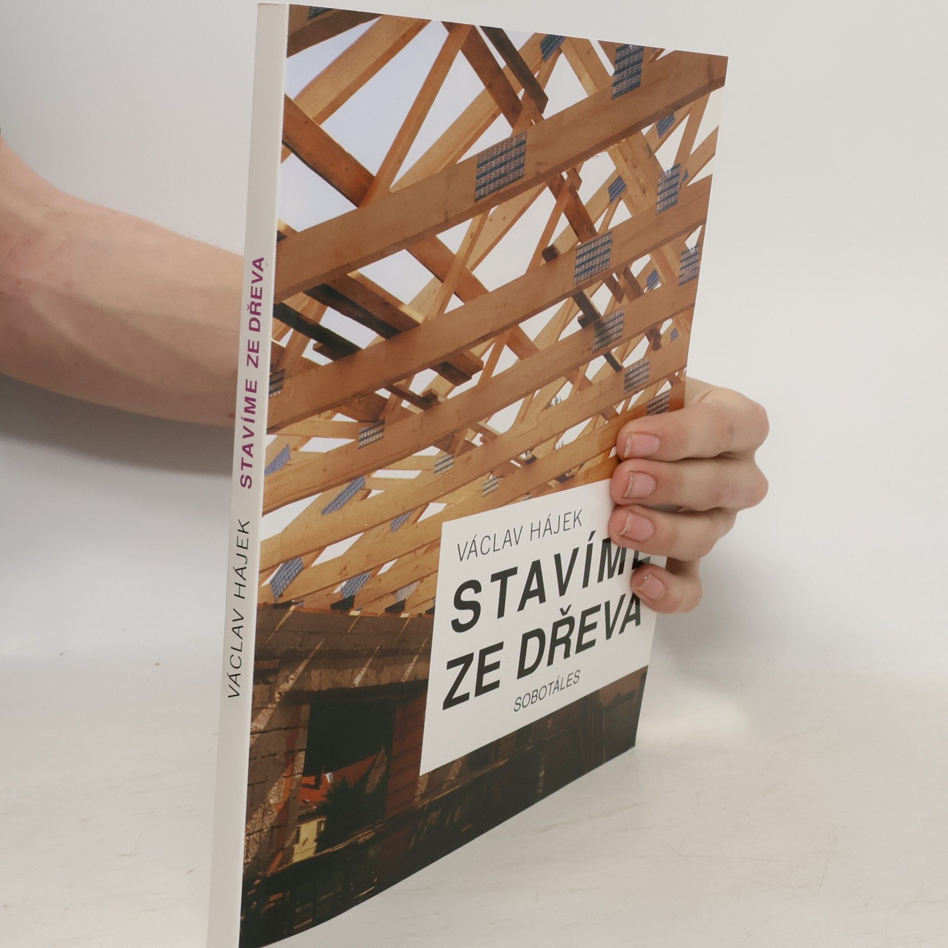 Václav Hájek Stavíme ze dřeva