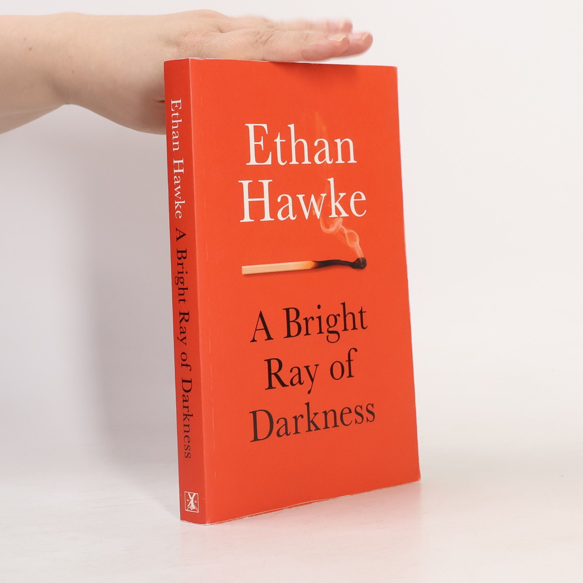 Ethan Hawke A Bright Ray of Darkness