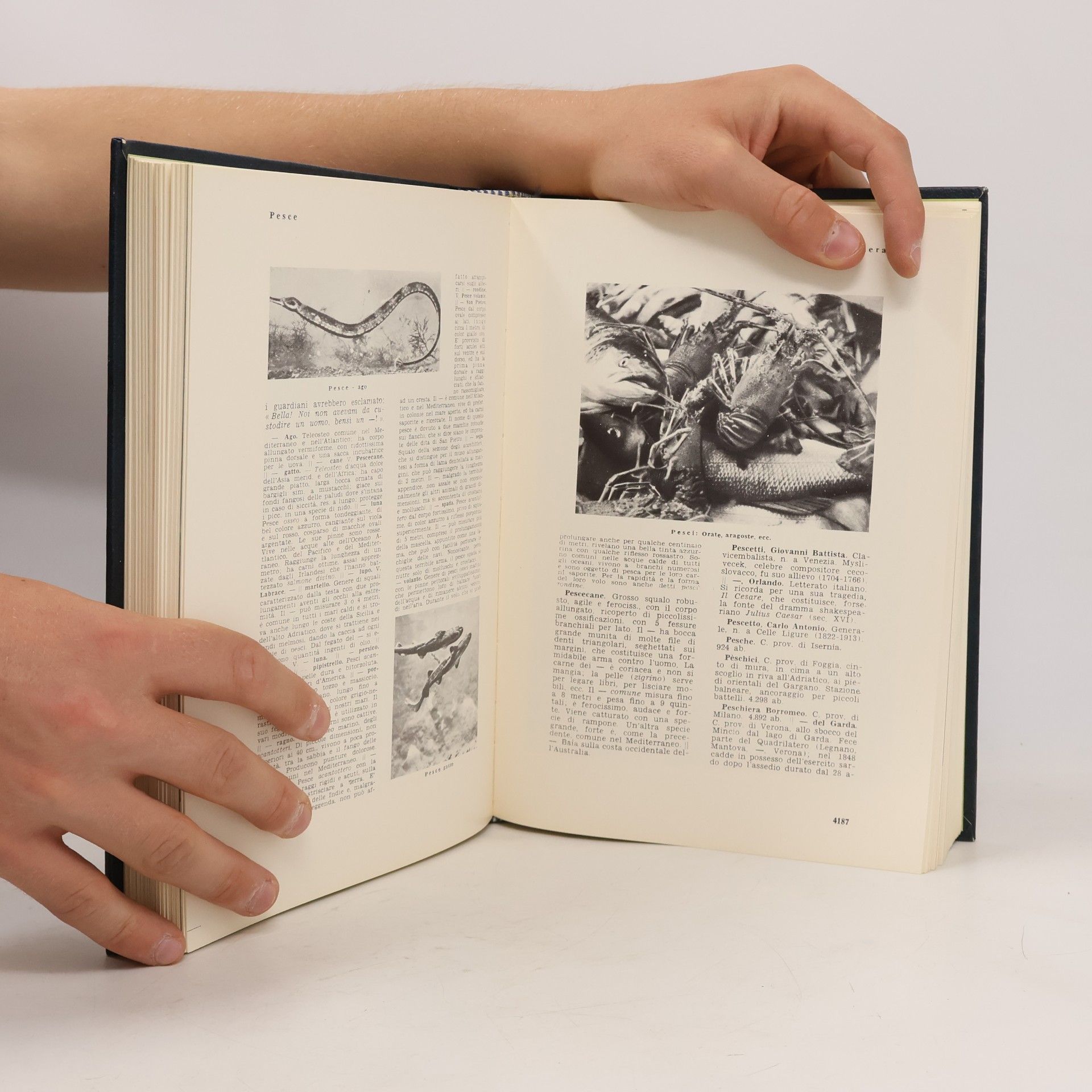 Autores varios Grande Enciclopedia Universale XI. Pa-Pro