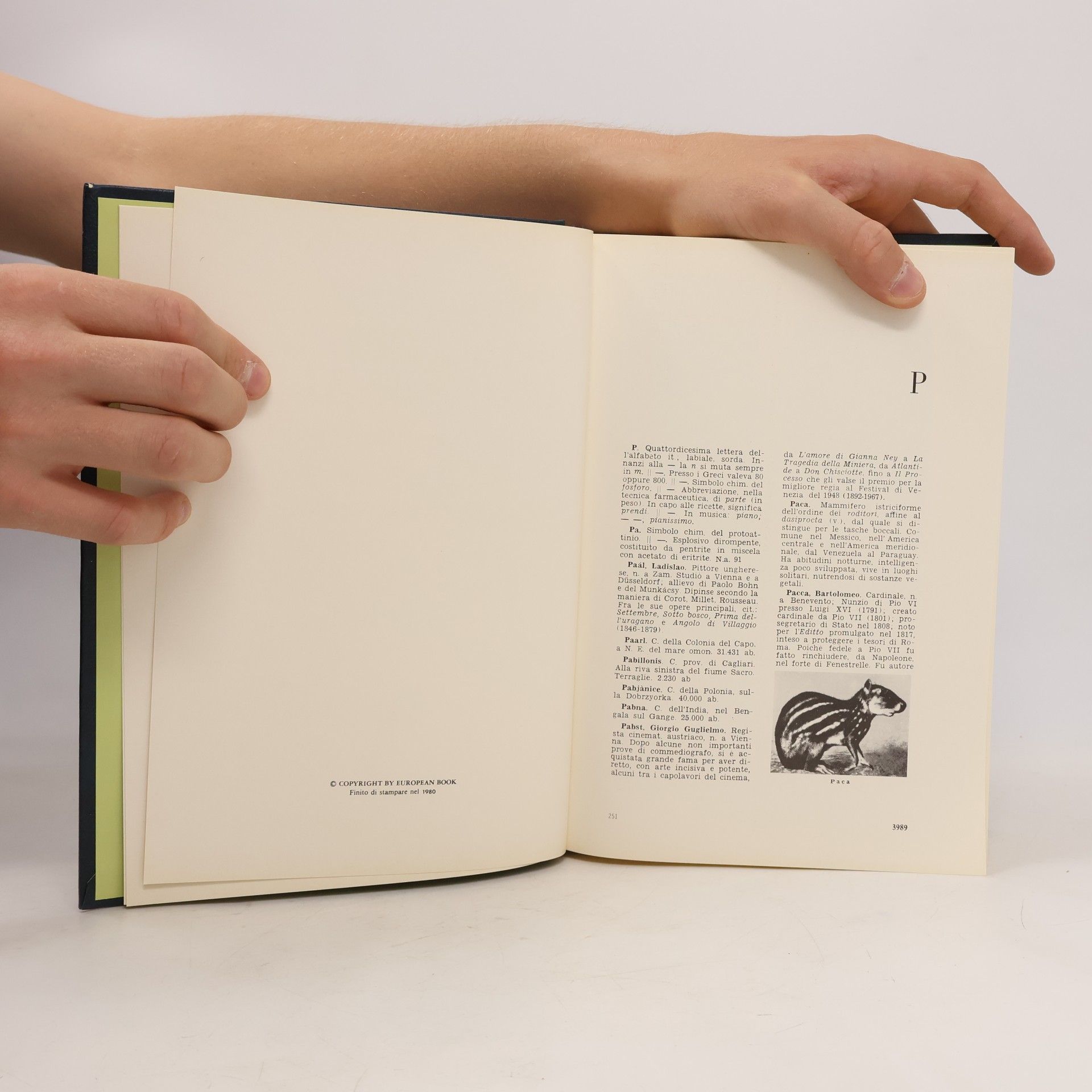 Autores varios Grande Enciclopedia Universale XI. Pa-Pro