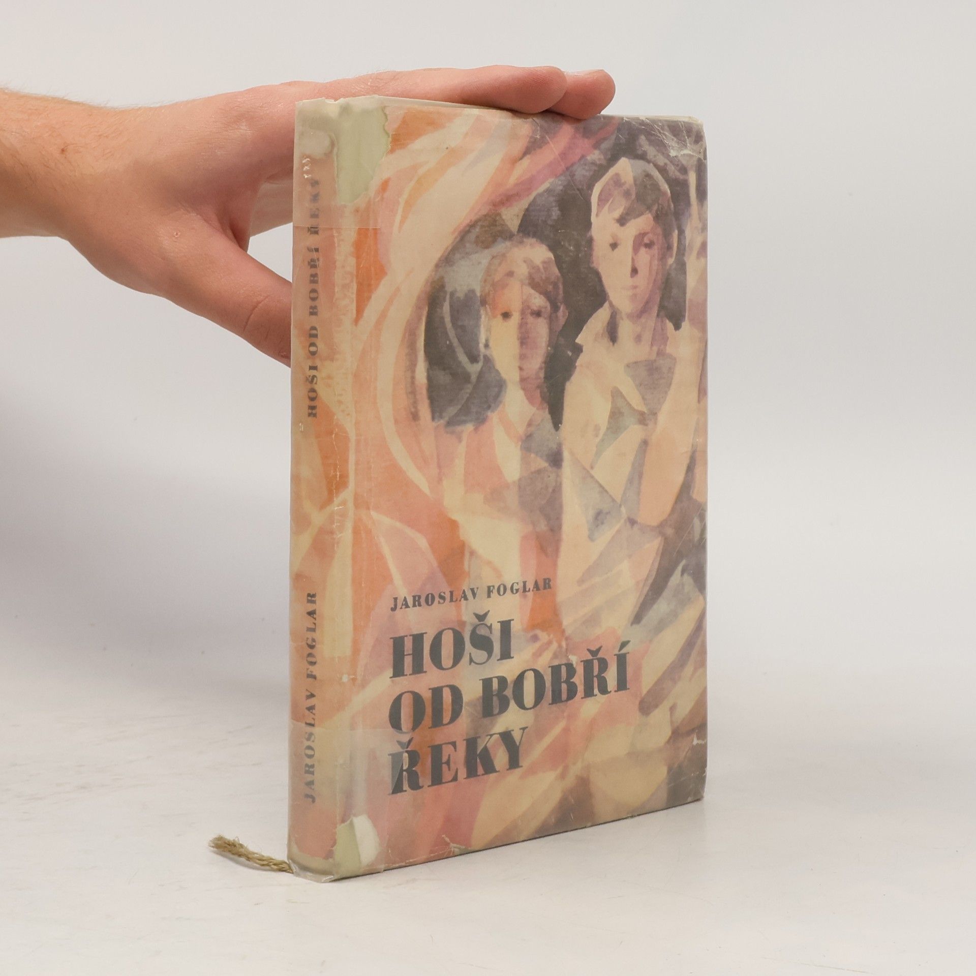 Jaroslav Foglar Hoši od Bobří řeky