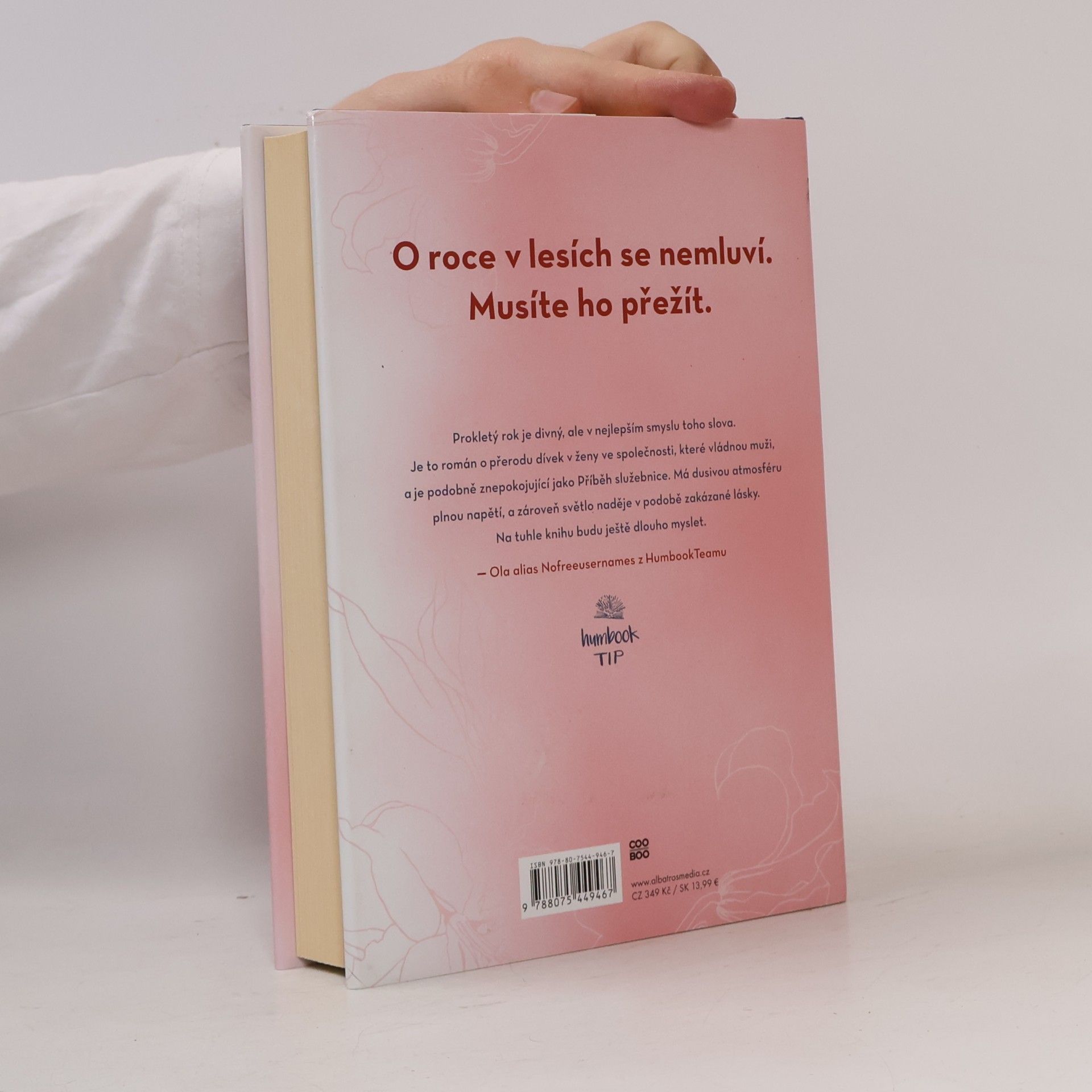 Kim Liggett Prokletý rok