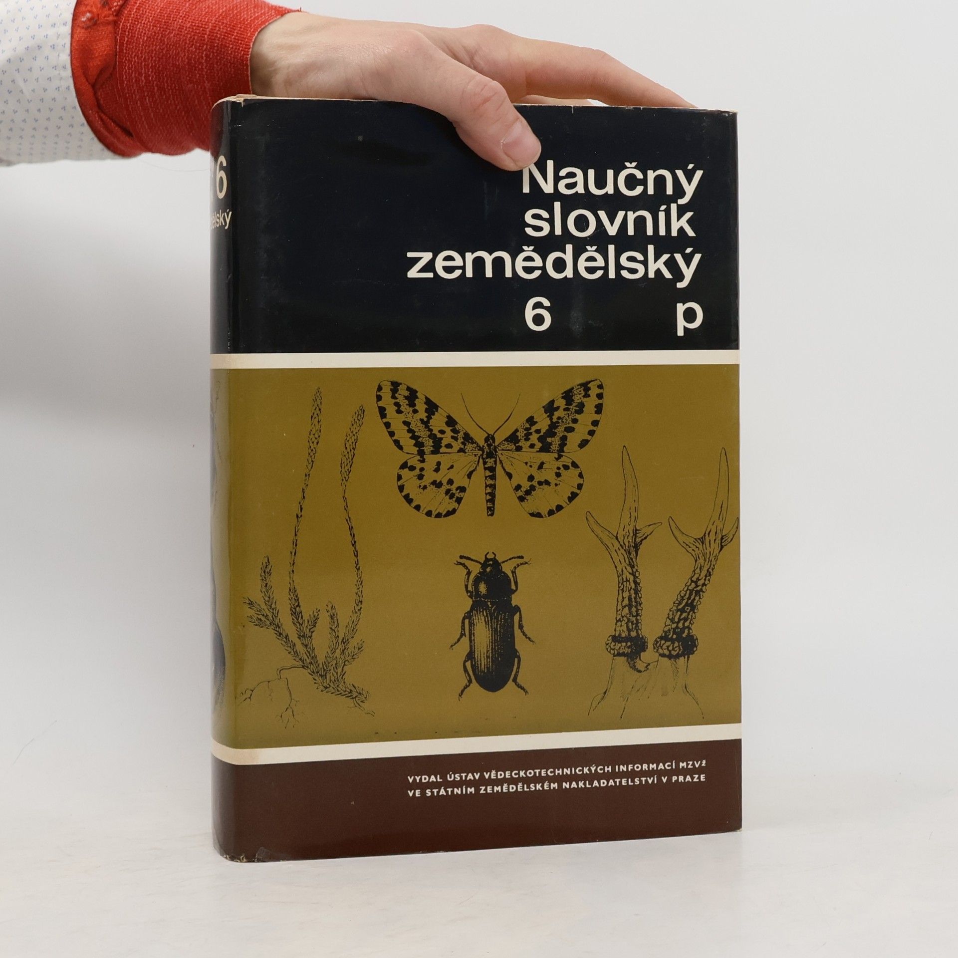 Autores varios Naučný slovník zemědělský 6 - P