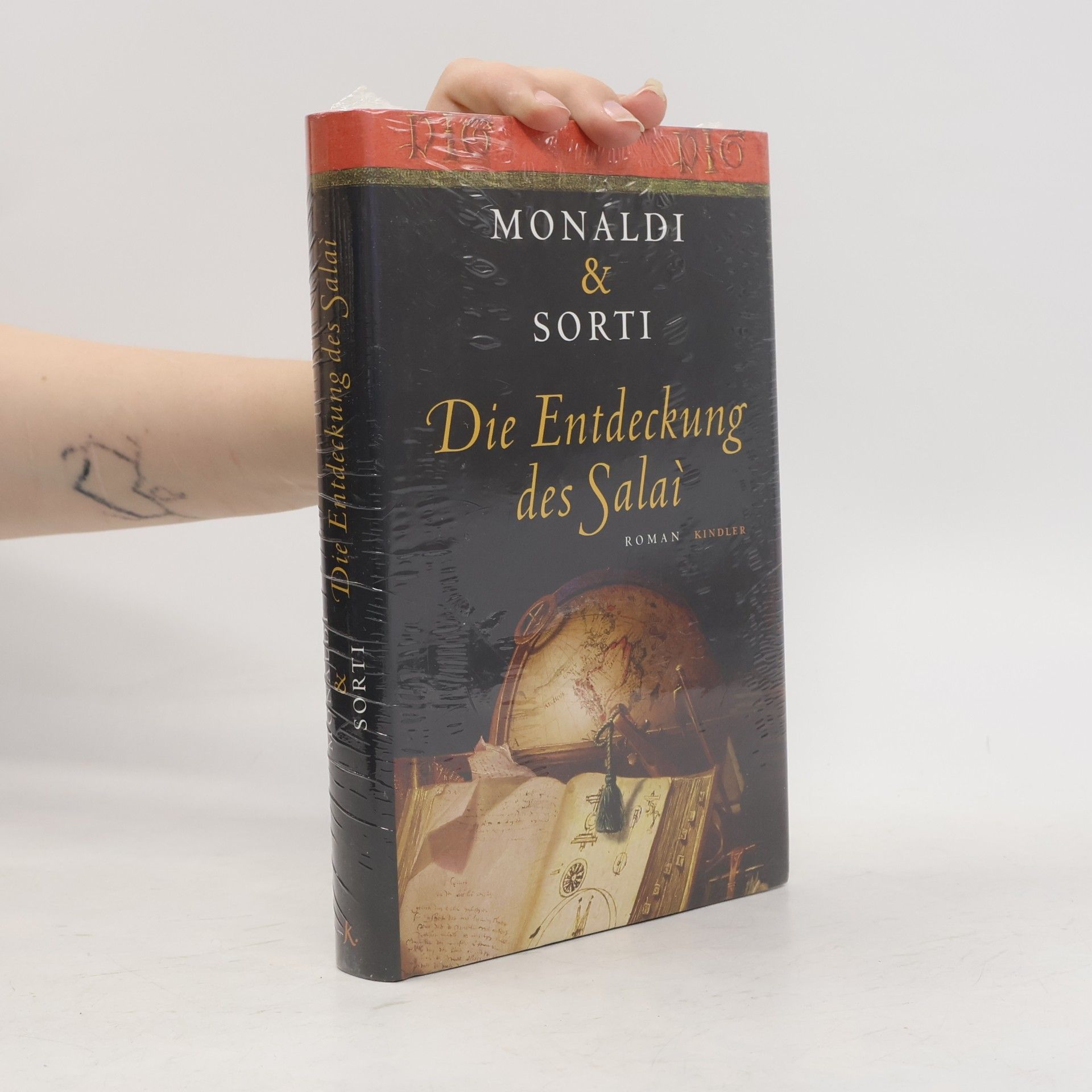 Rita Monaldi Die Entdeckung des Salaì