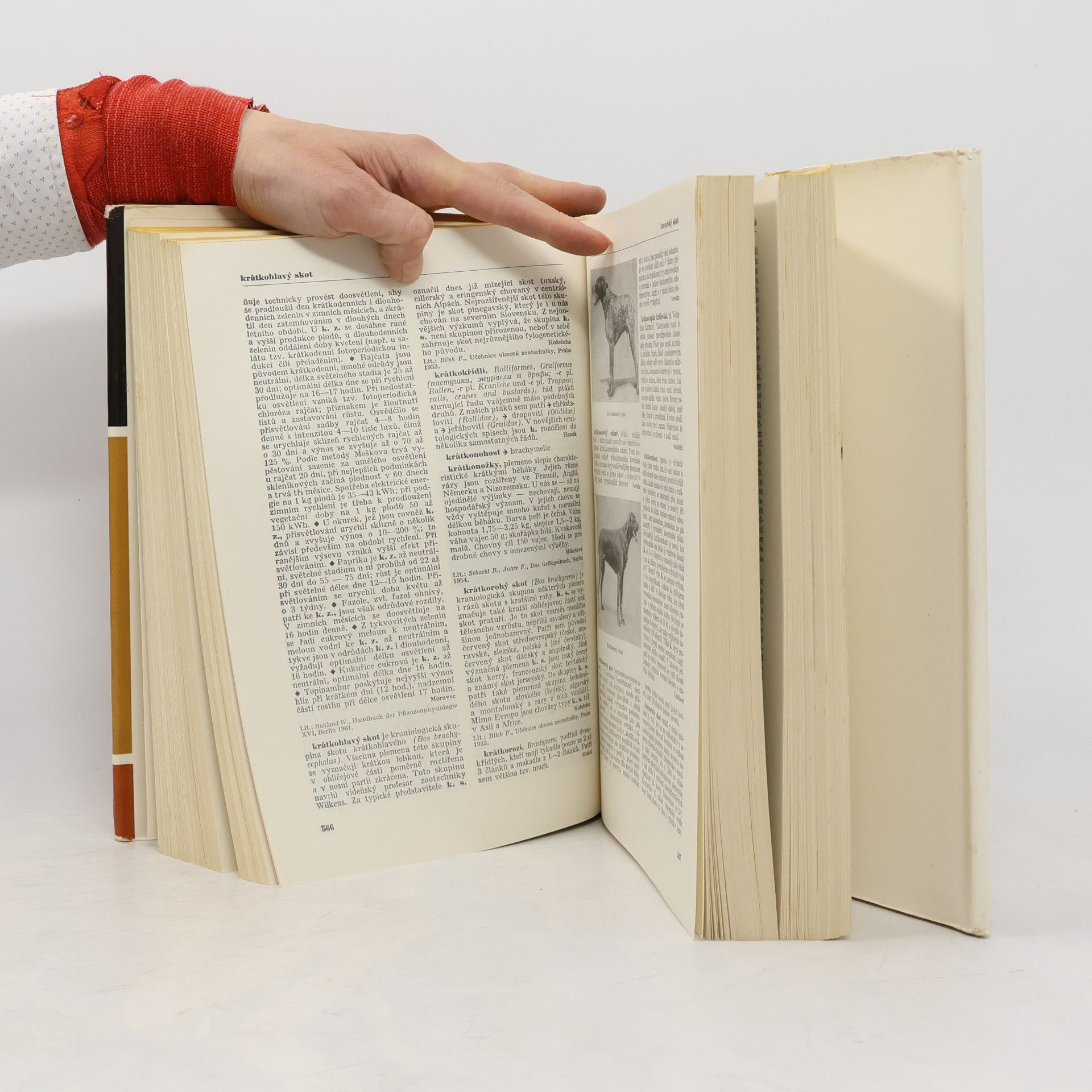 Autores varios Naučný slovník zemědělský 3. K - L