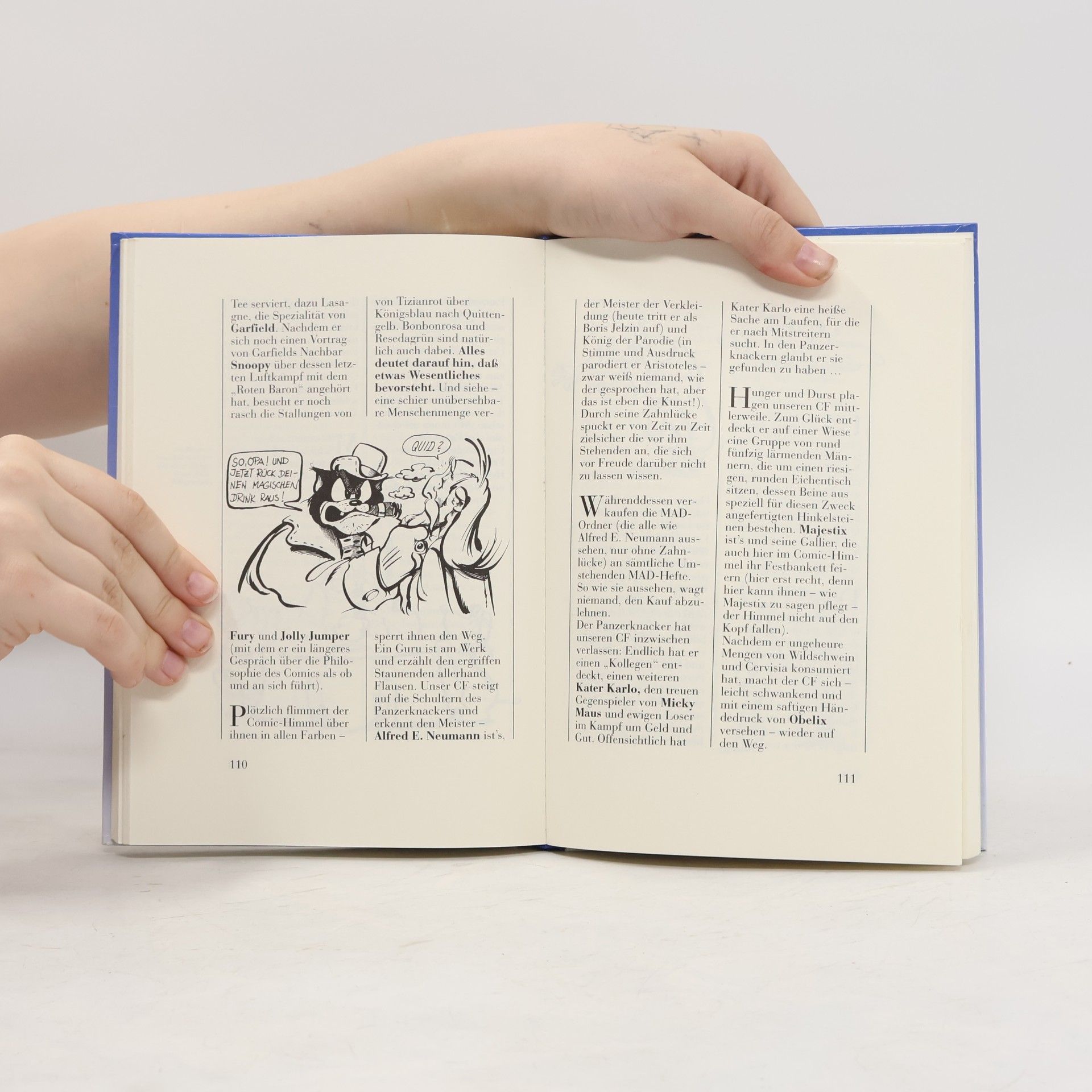 Dieter Mank Das offizielle endgültige Handbuch für den Comic-Freak