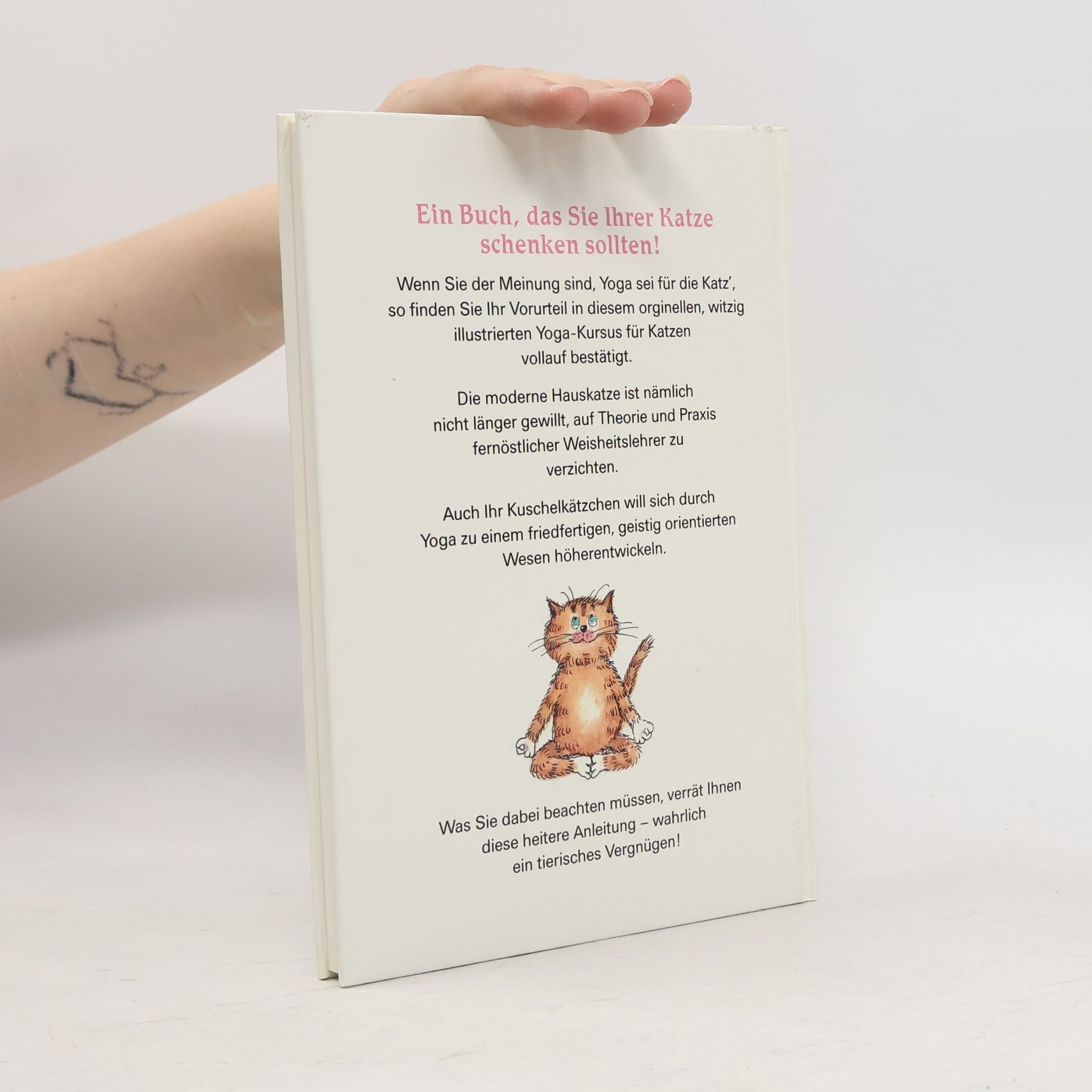 Traudl Reiner Yoga für Katzen