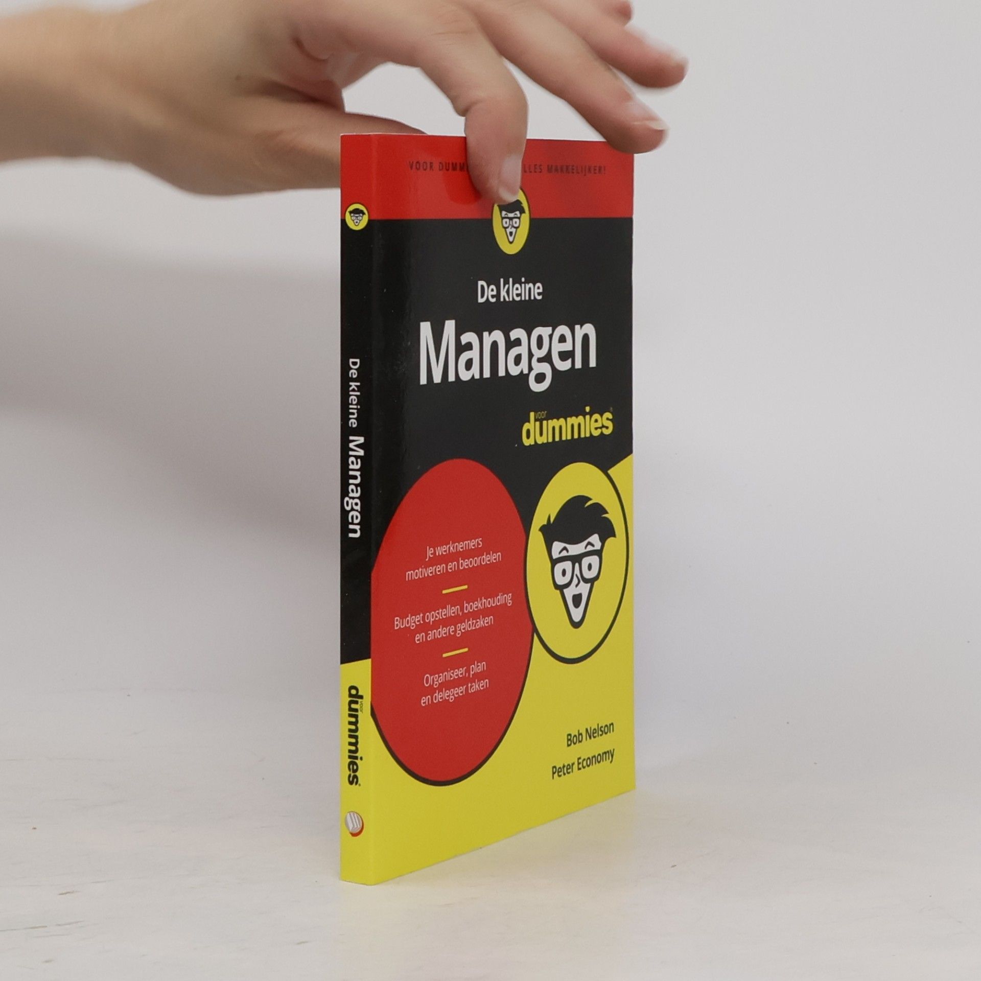 De kleine Managen voor Dummies