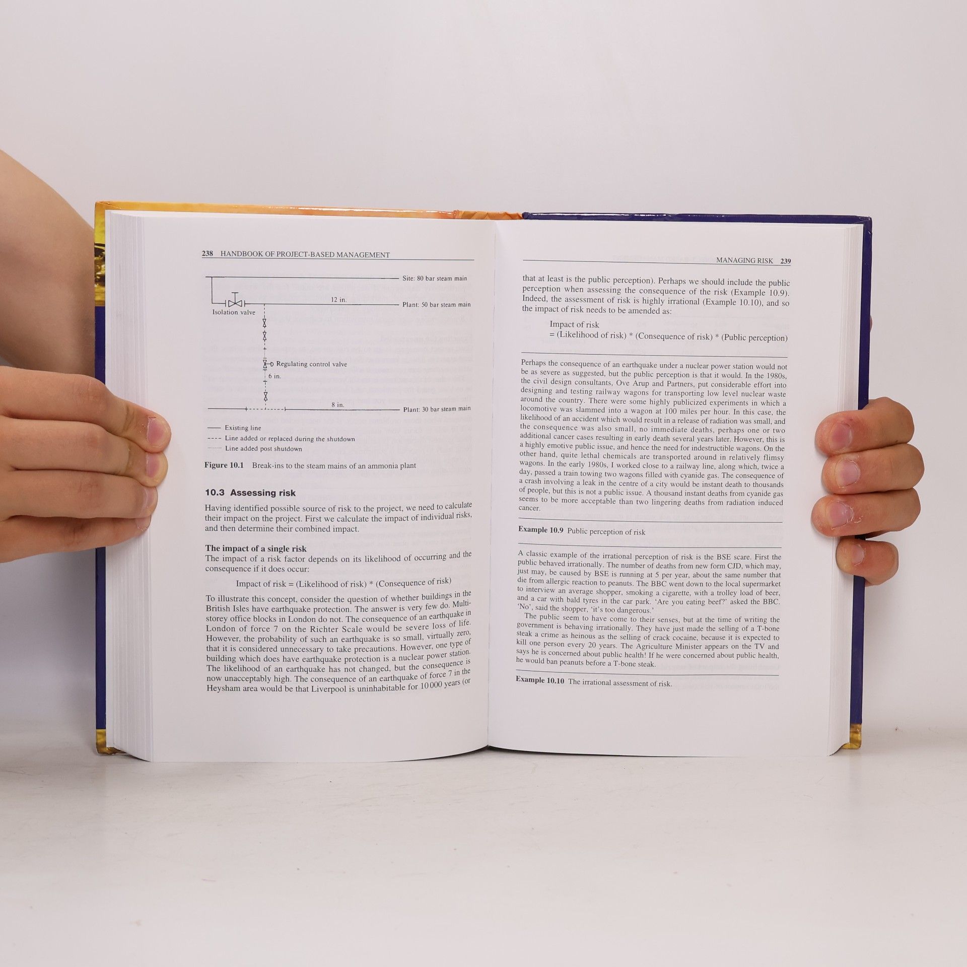 Rodney Turner The Handbook of Project-based Management