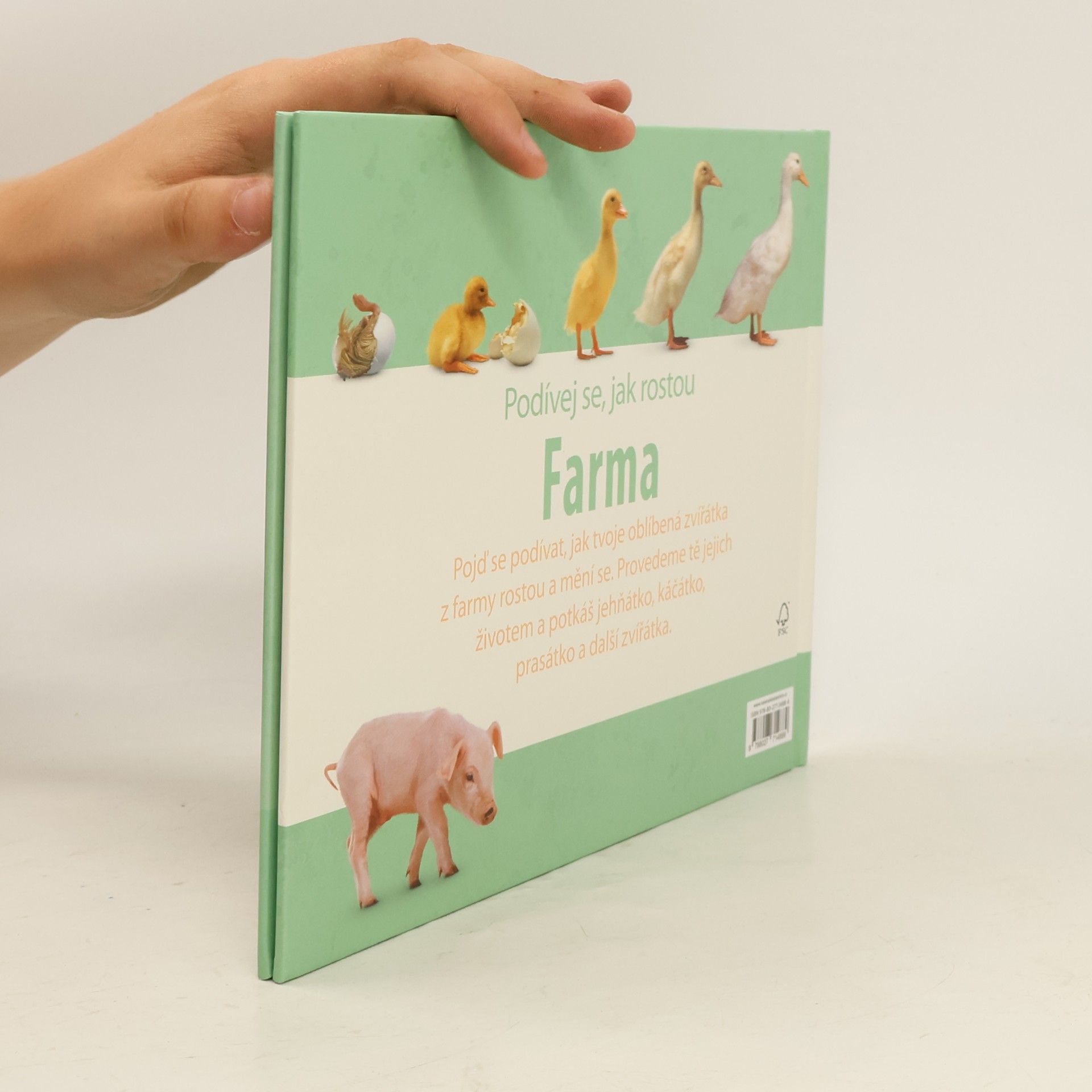 Olga Polišenská Farma. Podívej se, jak rostou
