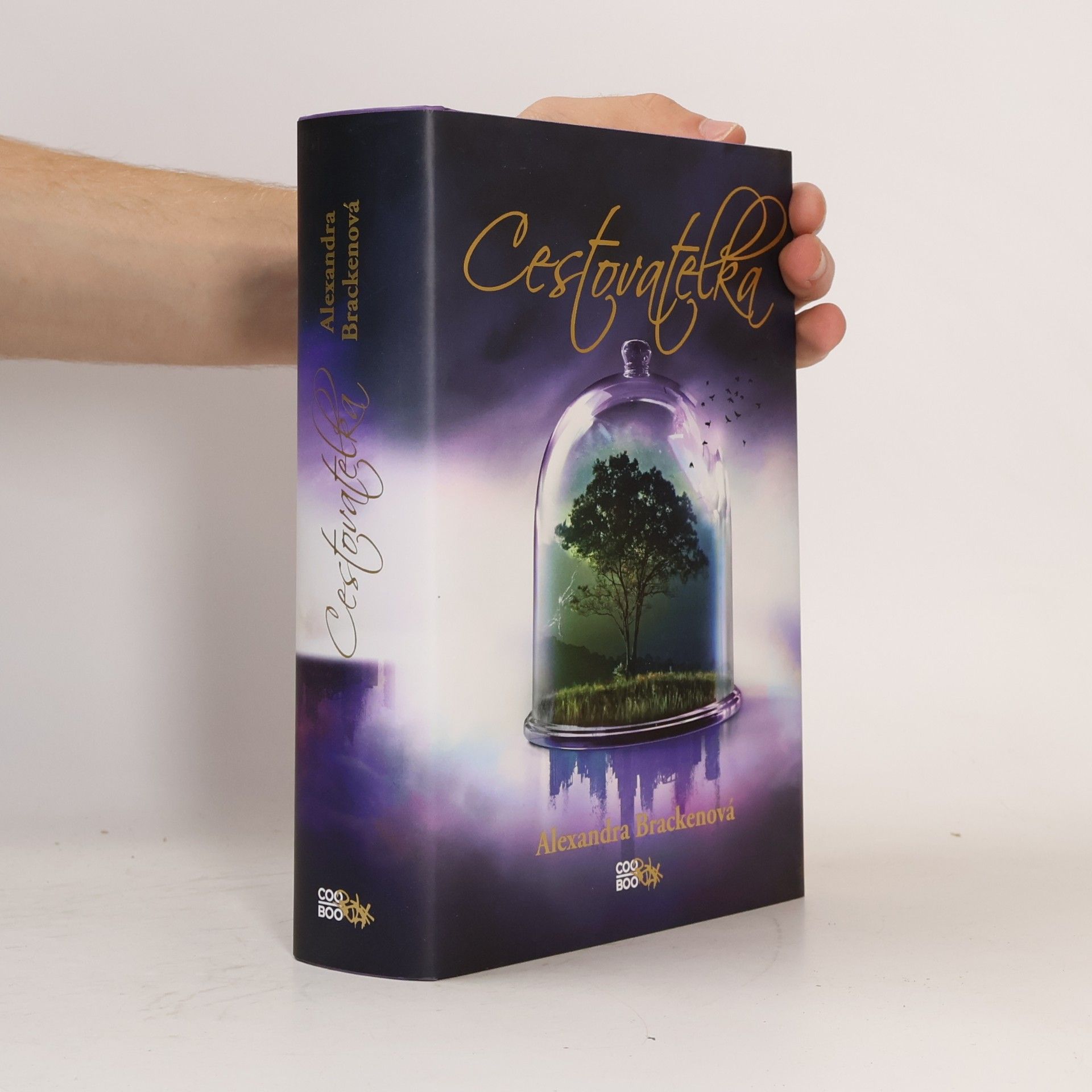 Alexandra Bracken Cestovatelka