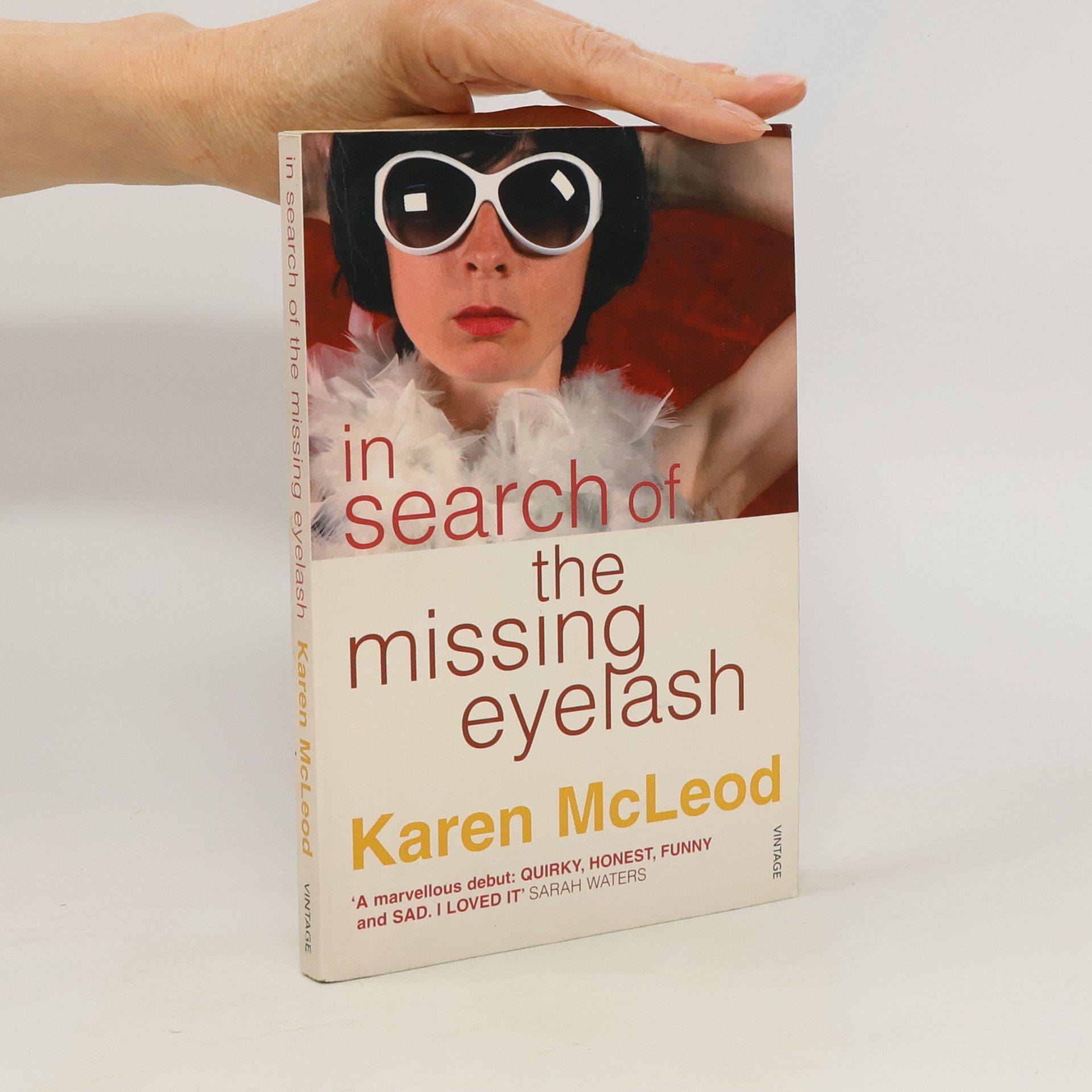 Karen McLeod In Search of the Missing Eyelash