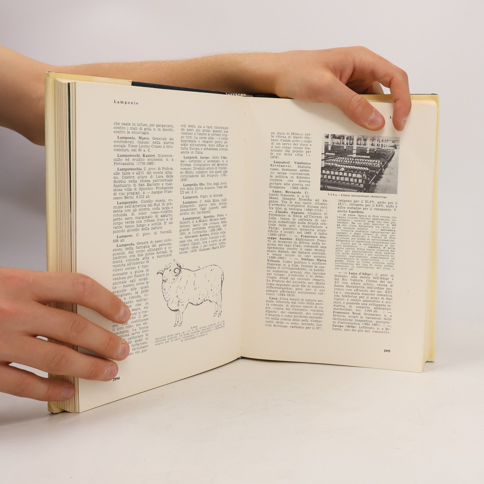 Autores varios Grande enciclopedia universale VIII