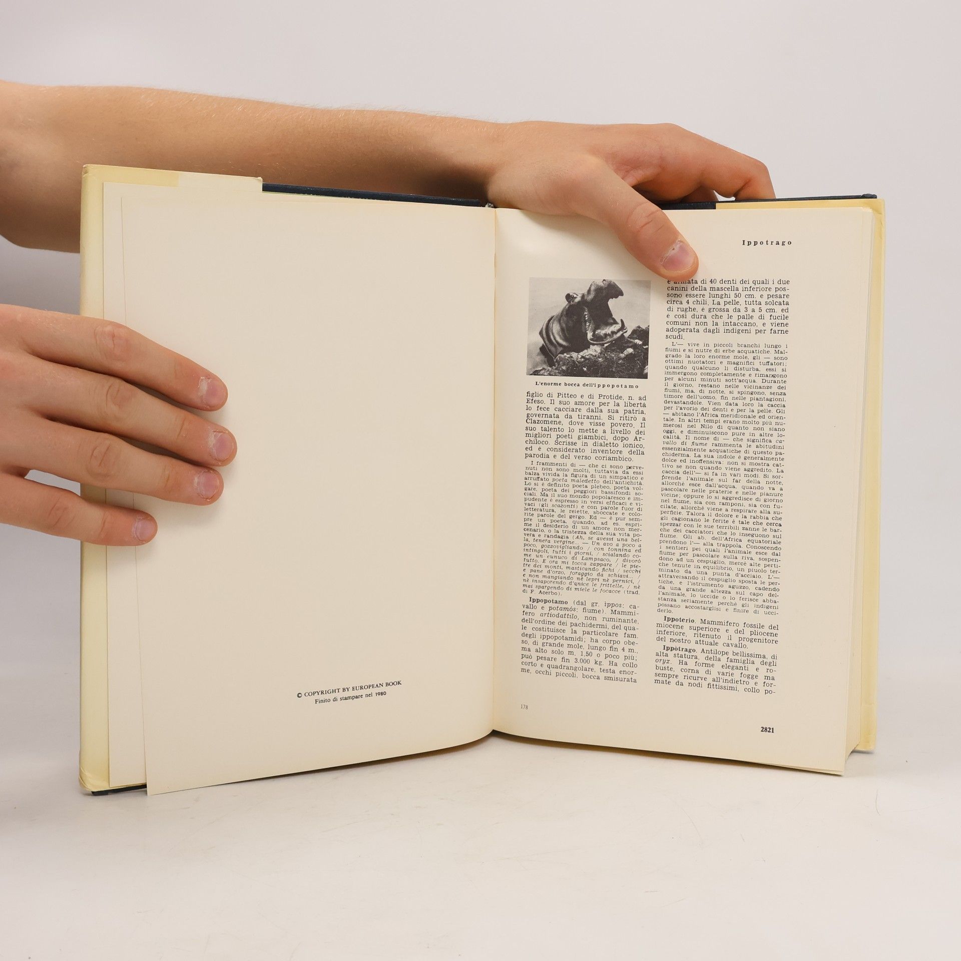 Autores varios Grande enciclopedia universale VIII