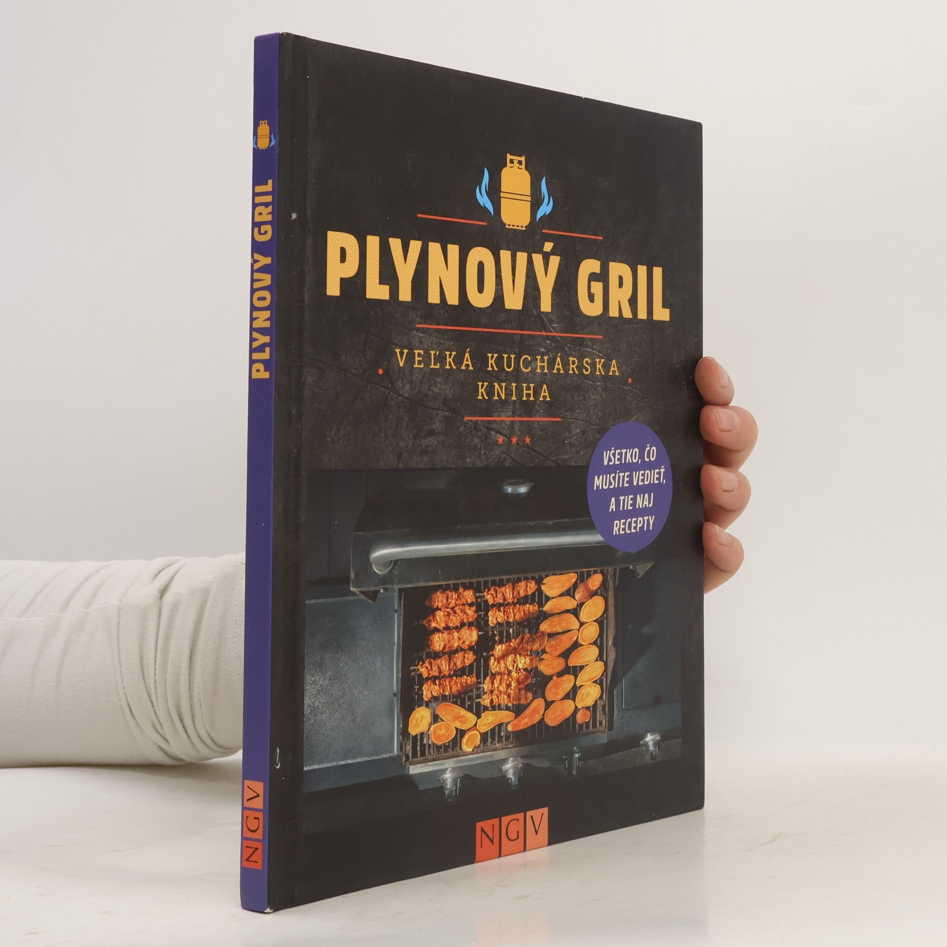 Collectif d'auteurs Jak grilovat na plynovém grilu