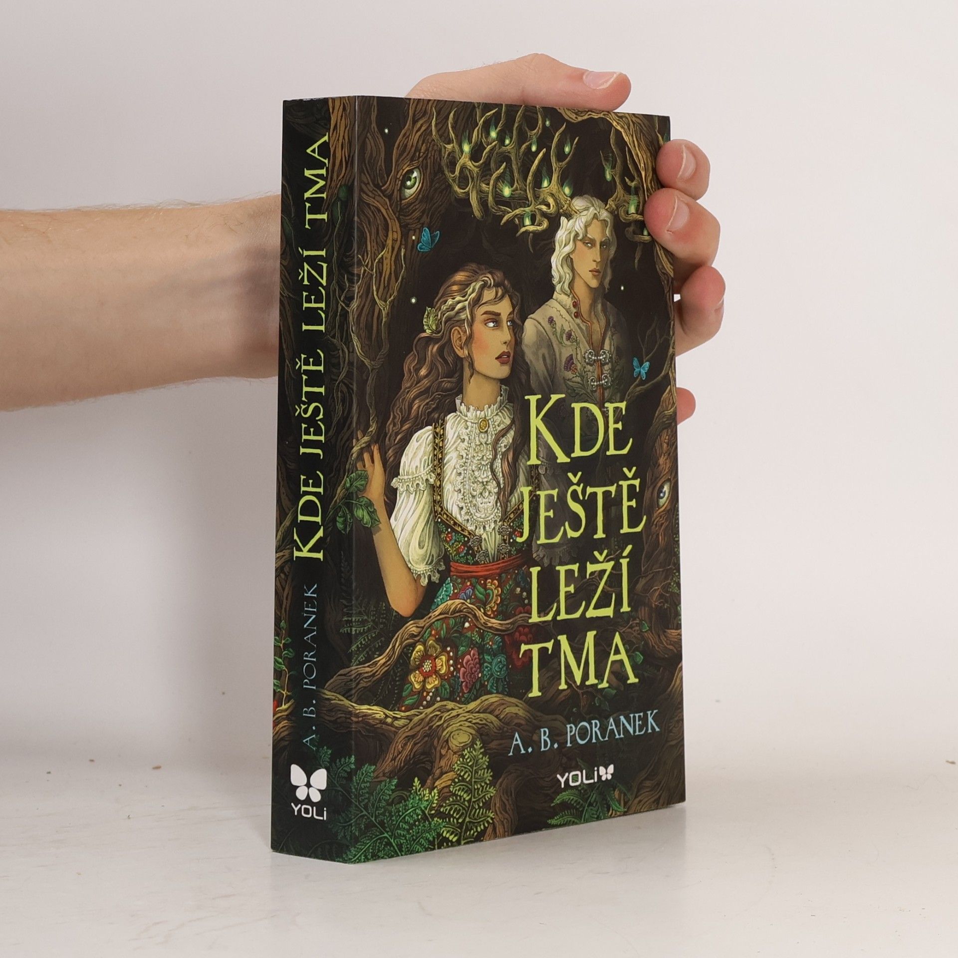 A. B. Poranek Kde ještě leží tma