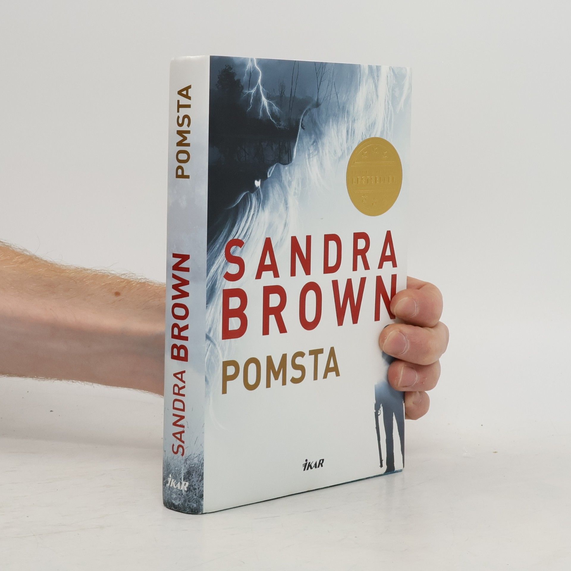 Sandra Brown Pomsta